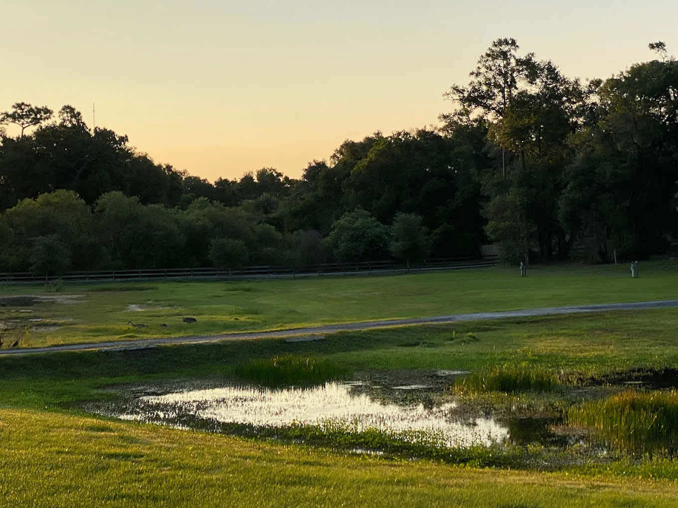 Luna Sands RV Resort LLC