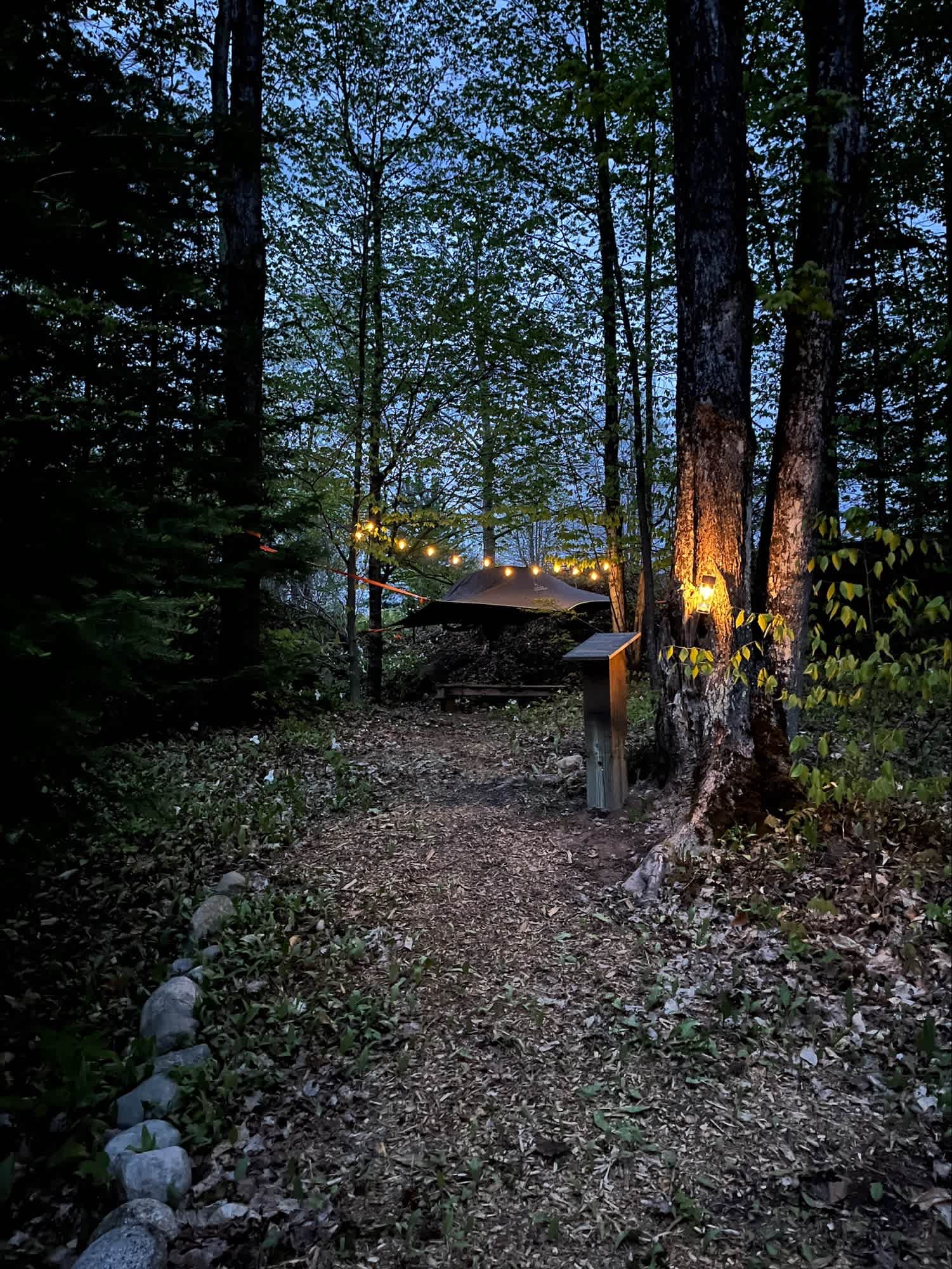 Picture of the site