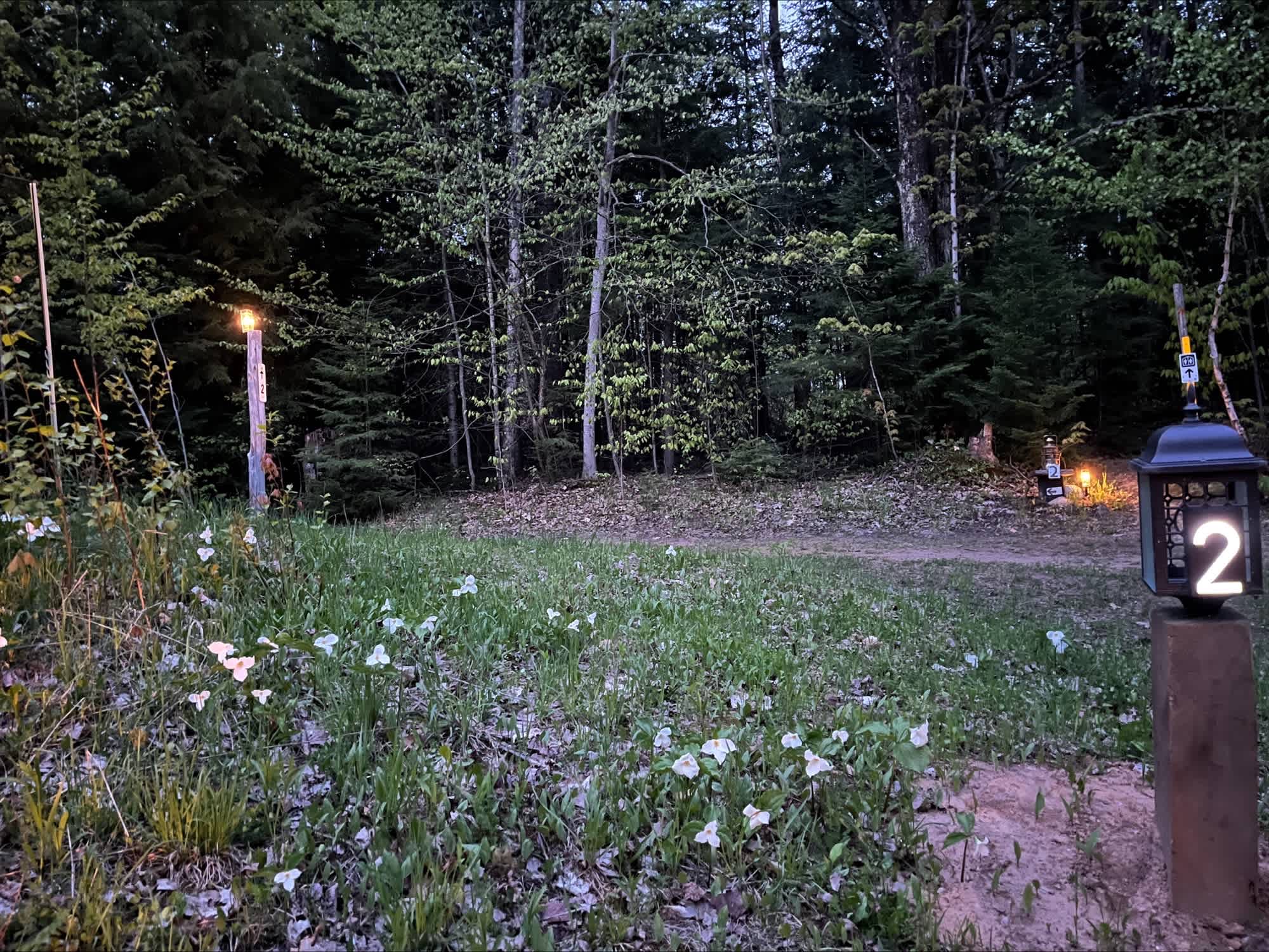 Picture of the site