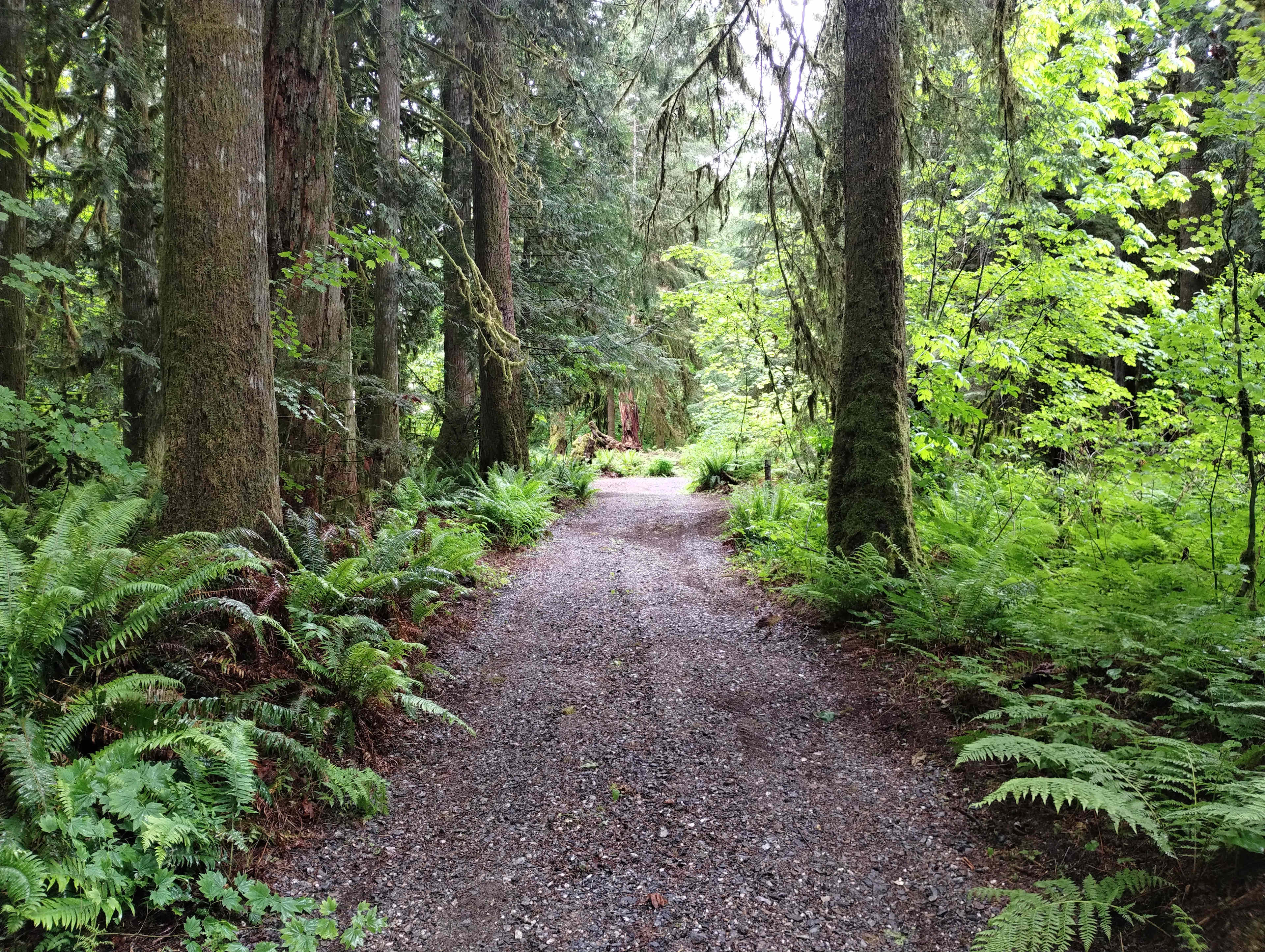 Pulling into our campground 
