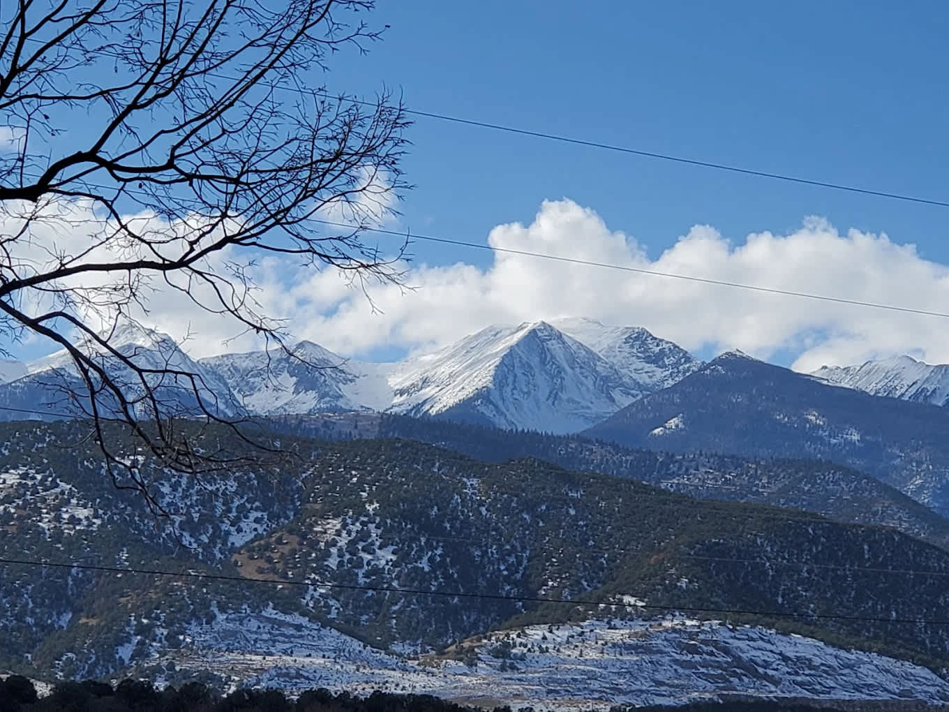 Bighorn Park