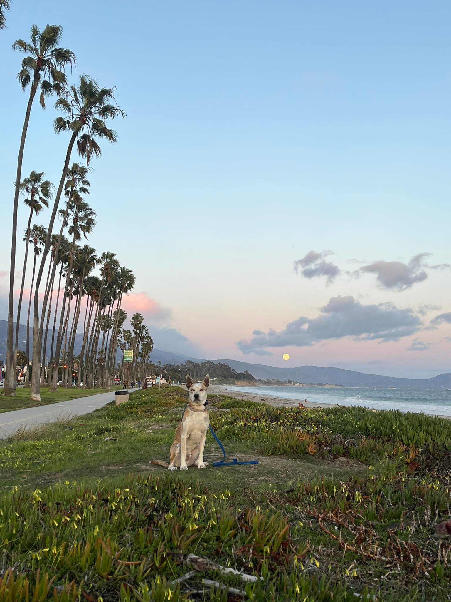 Santa Barbara Sunrise RV Park