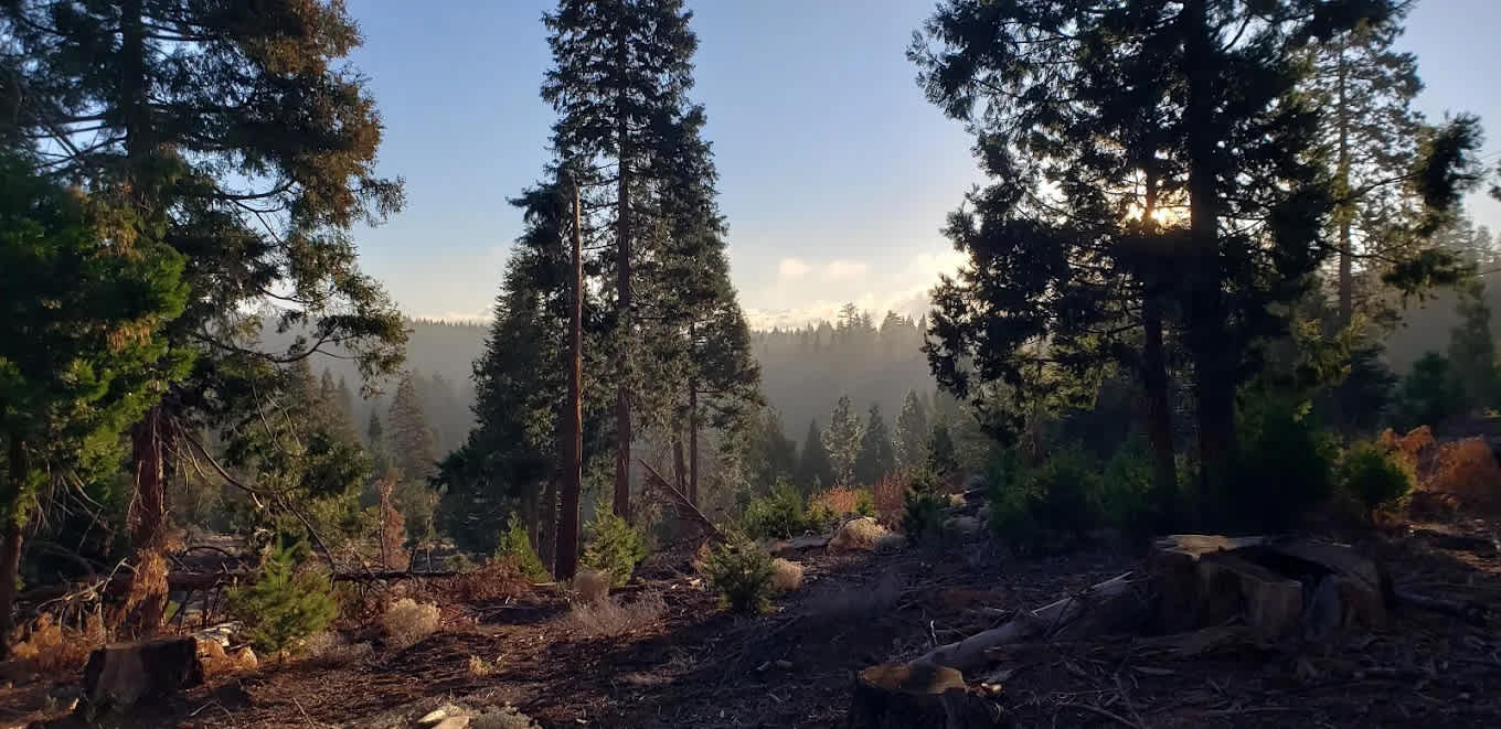 Golden Pines RV Resort and Campground