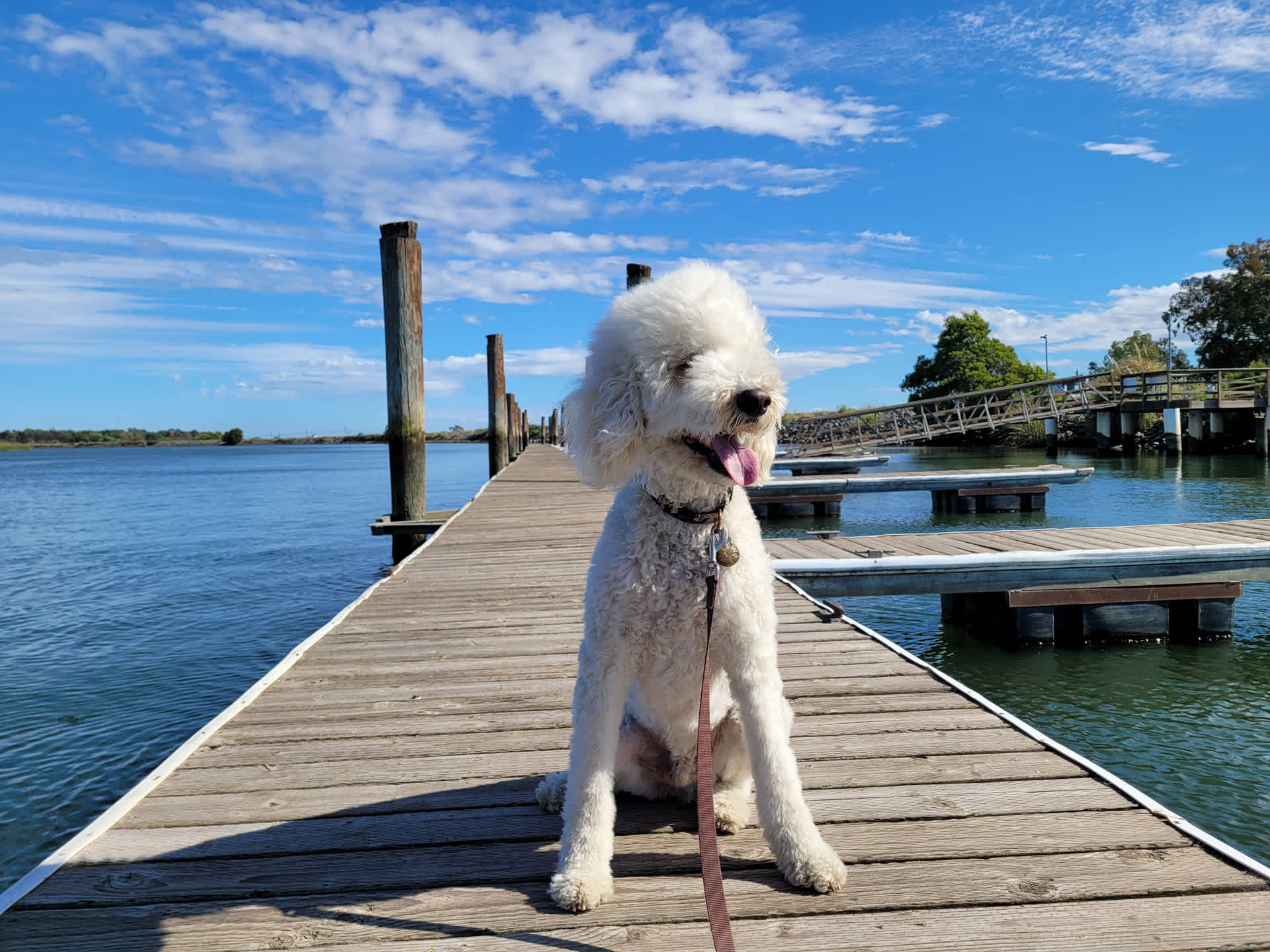 Delta Shores Resort & Marina