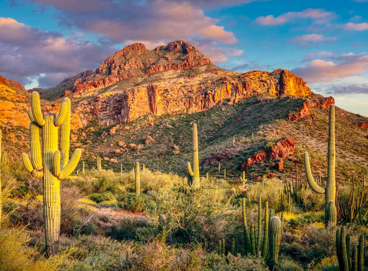 PIMA SWAN RV PARK