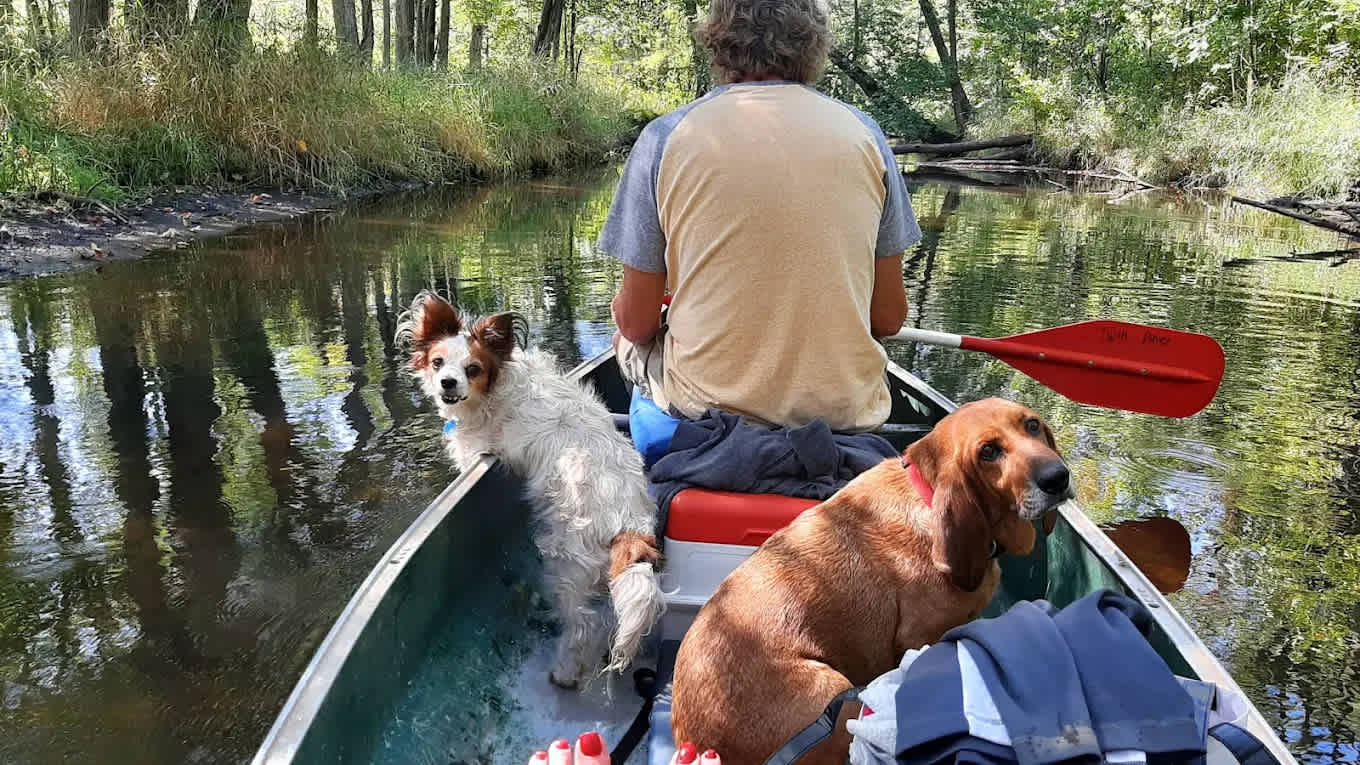 Twin Pine Campground and Canoe Livery