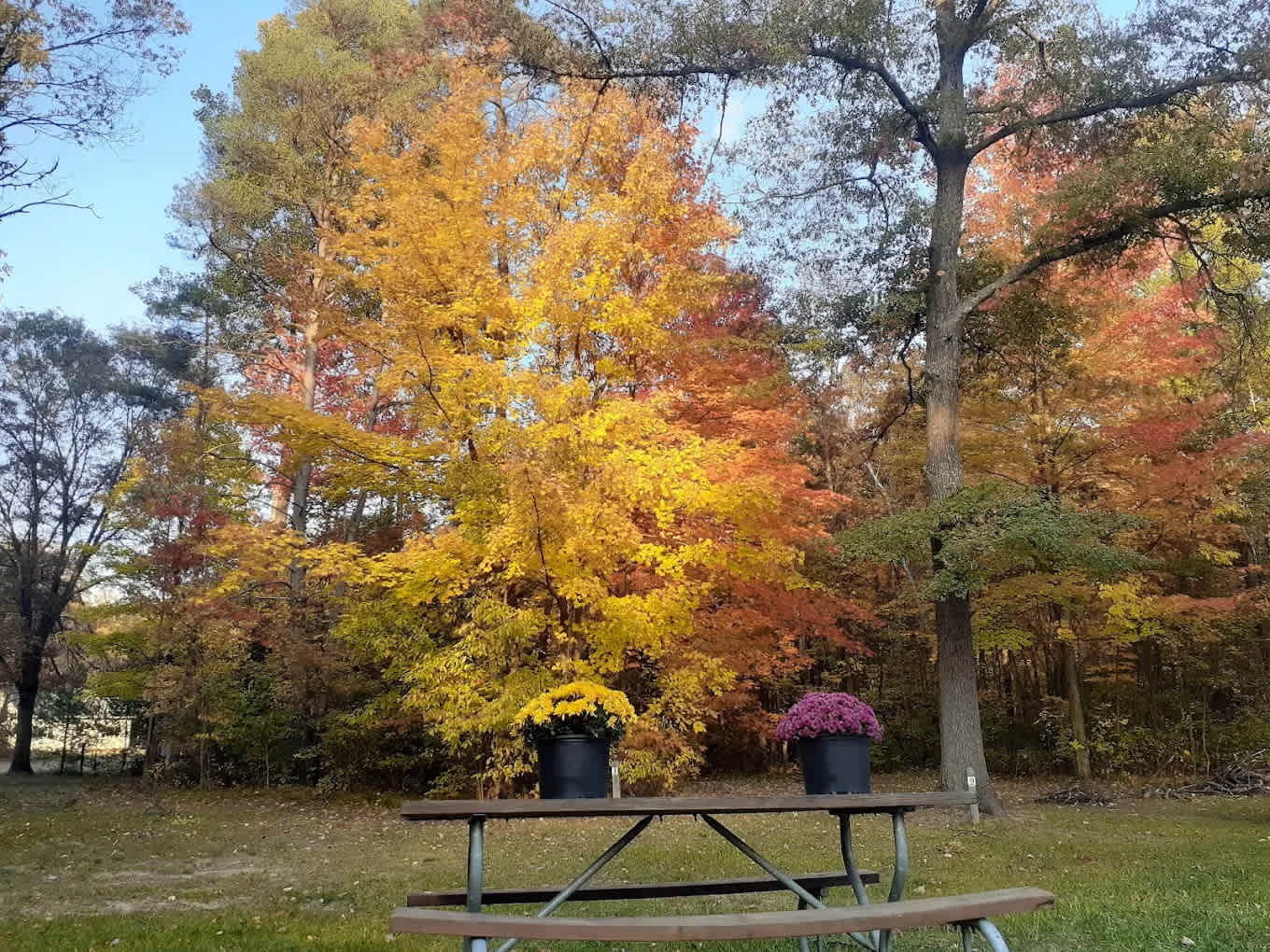 Troll Landing Campground and Canoe Livery LLC
