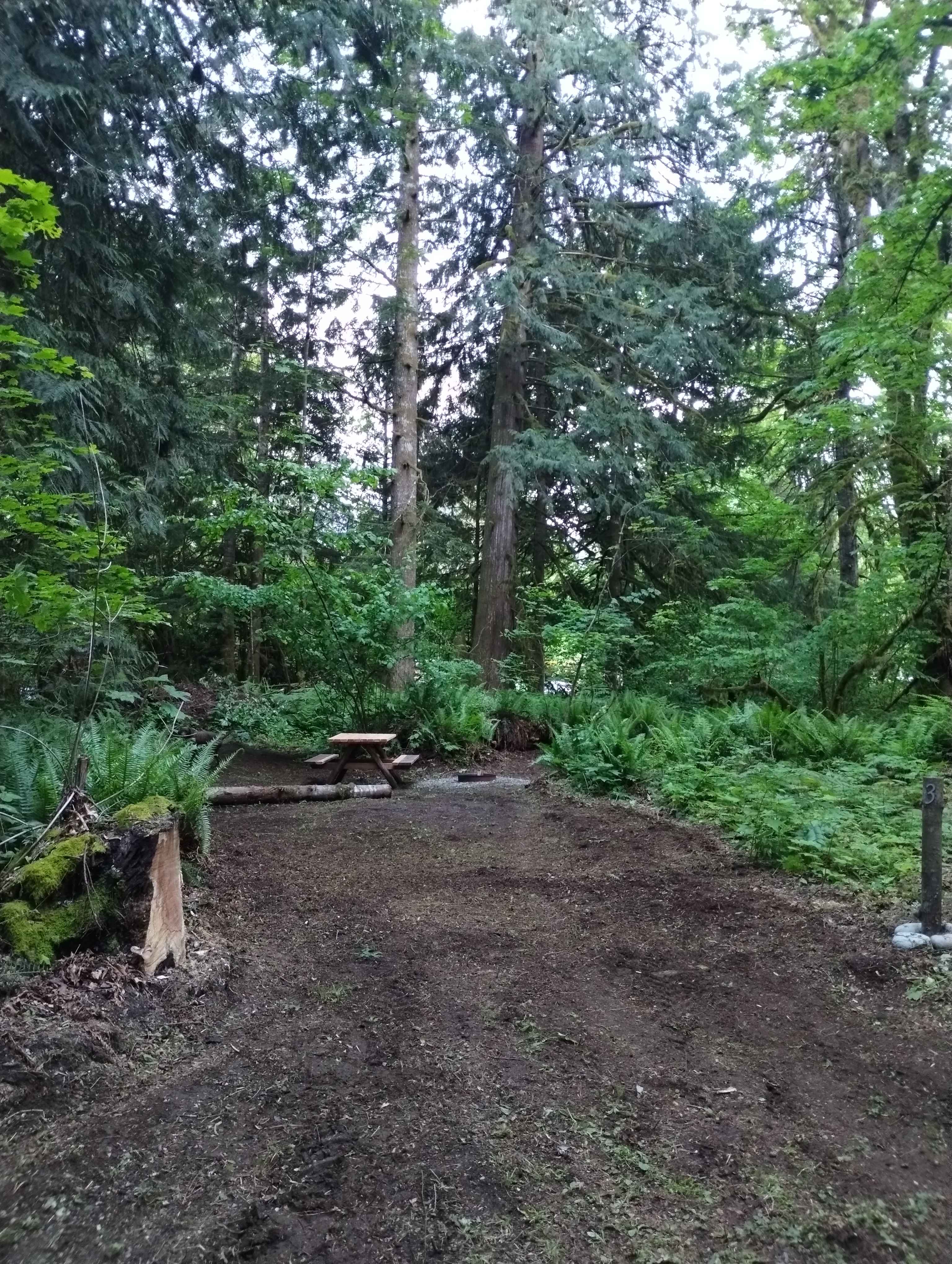 Hideaway cedars campground