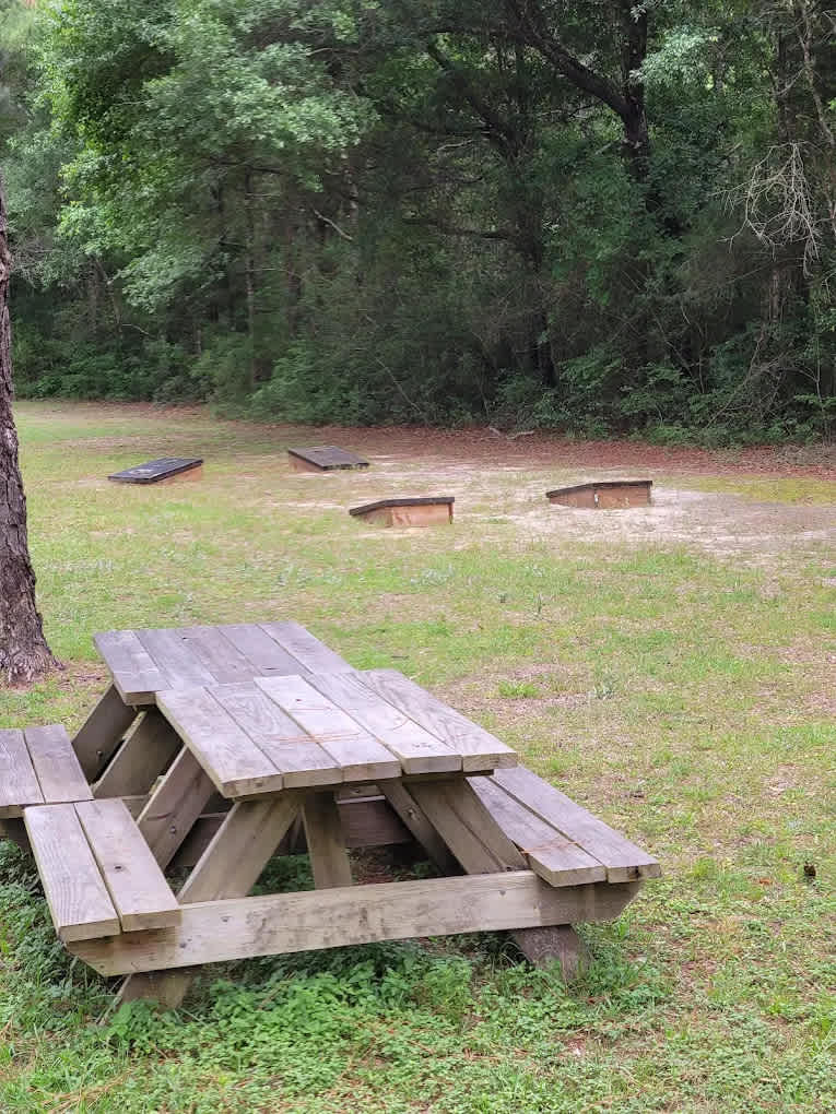 Sapphire Island Camping and Rv Park