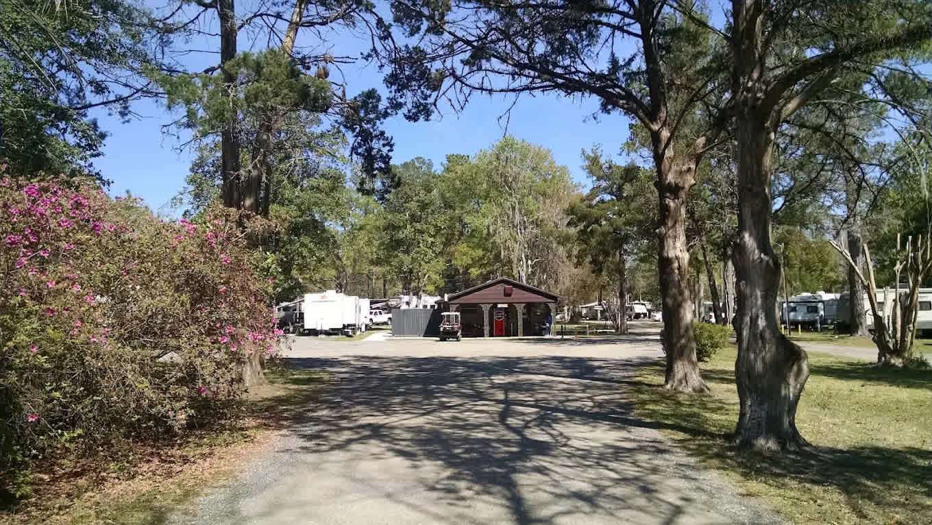 Big Tree RV Park