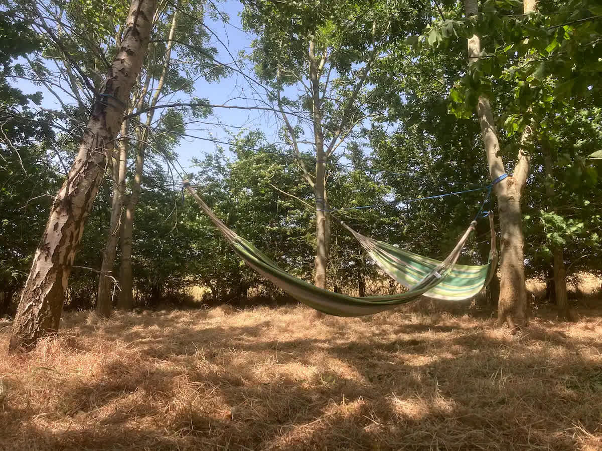All Things Off Grid