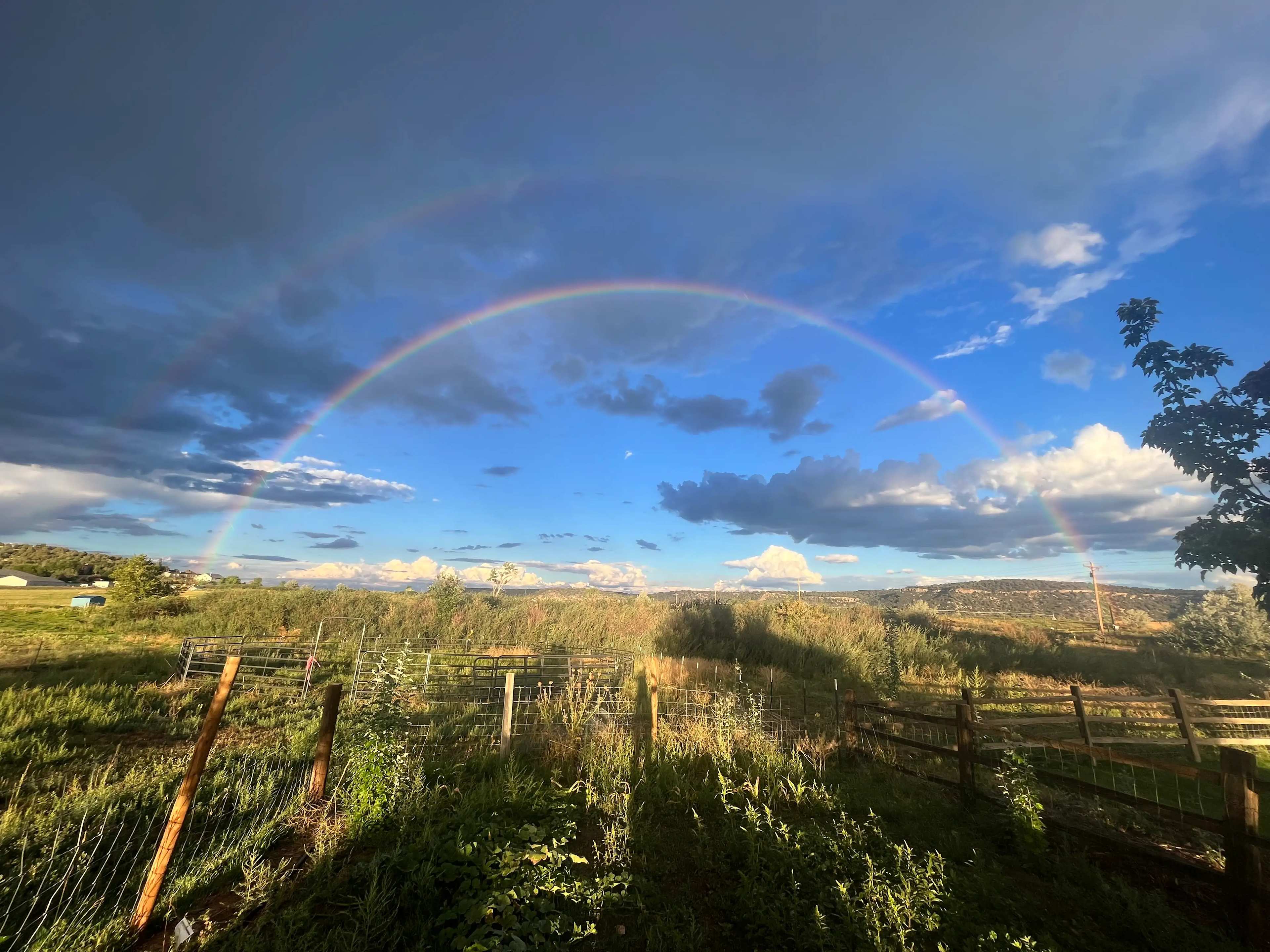 Sky Ute Fairgrounds & RV Park