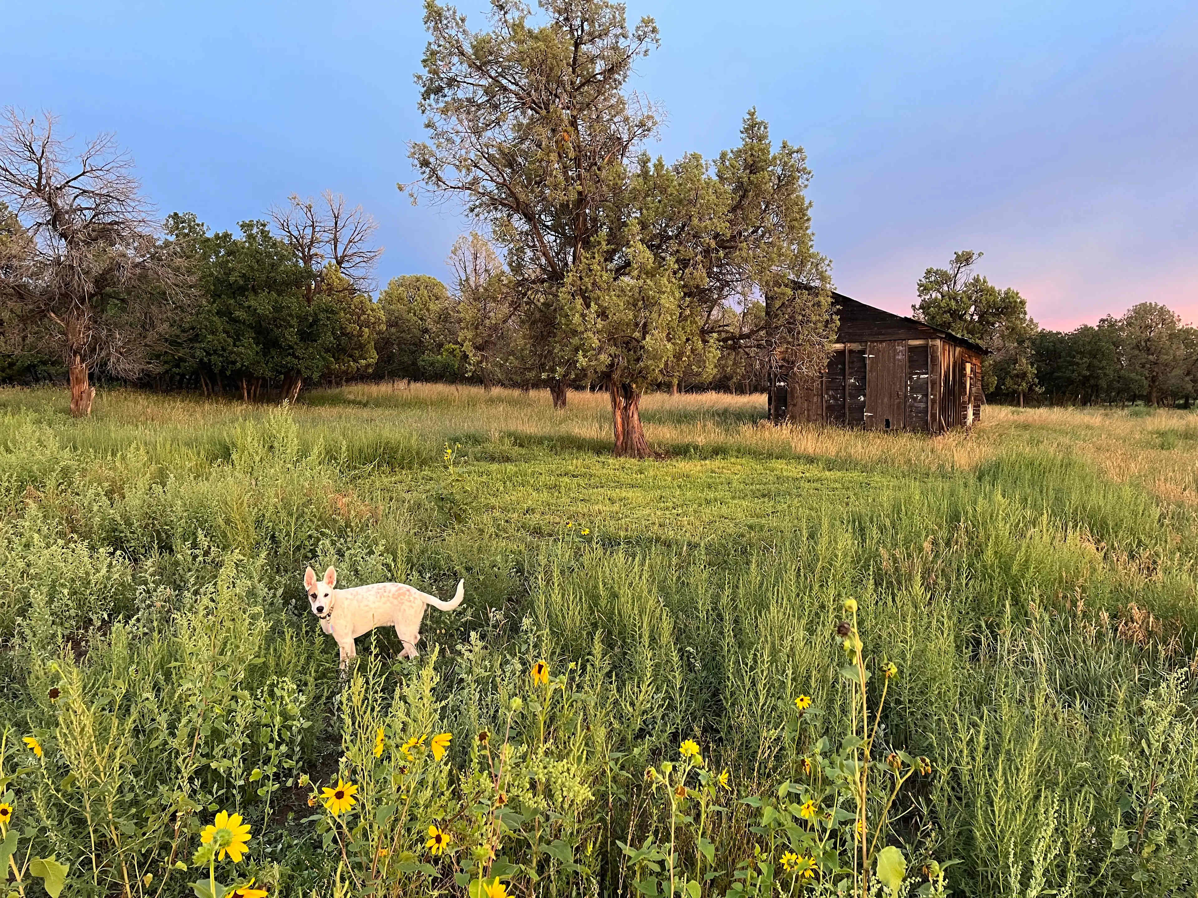 Sky Ute Fairgrounds & RV Park