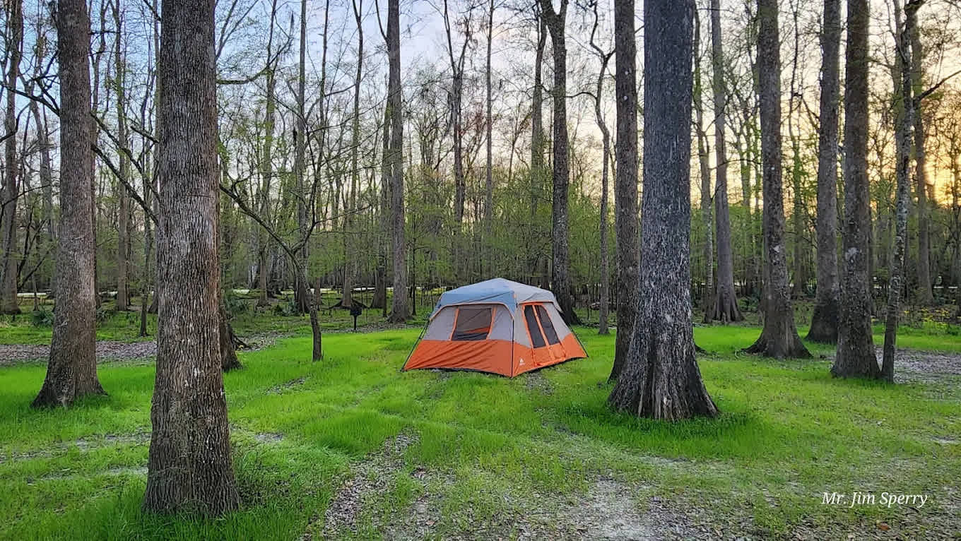 Ginnie Springs Outdoors