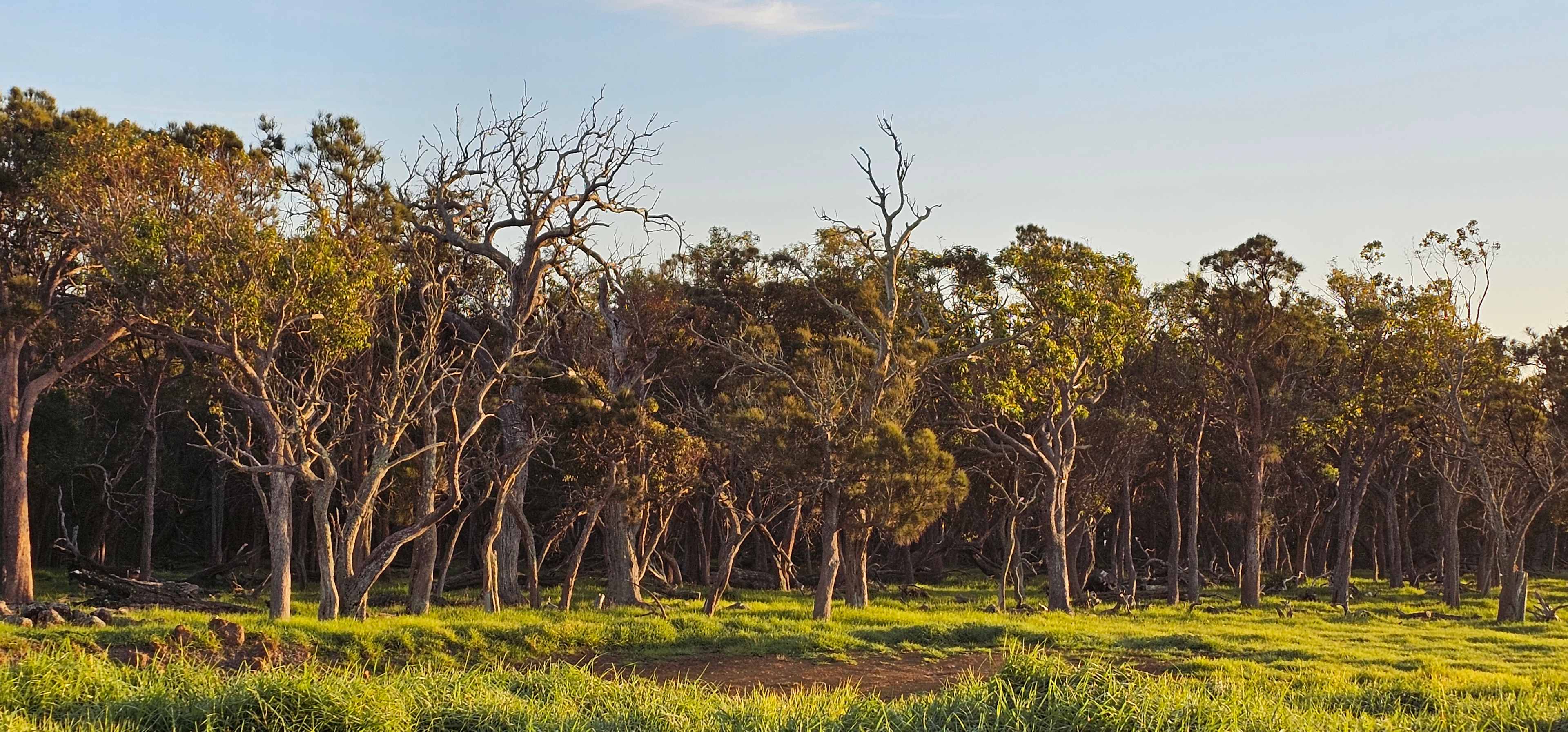 Kalgan Lookout