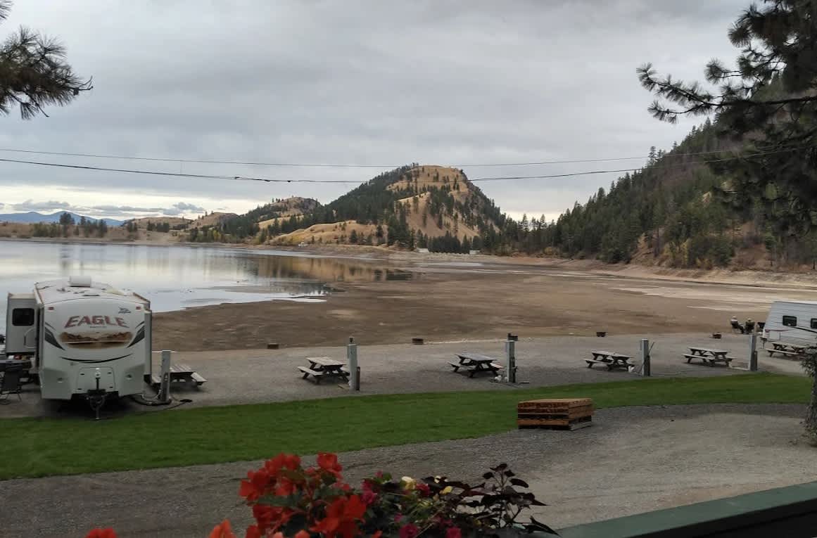 Shady Pines Resort