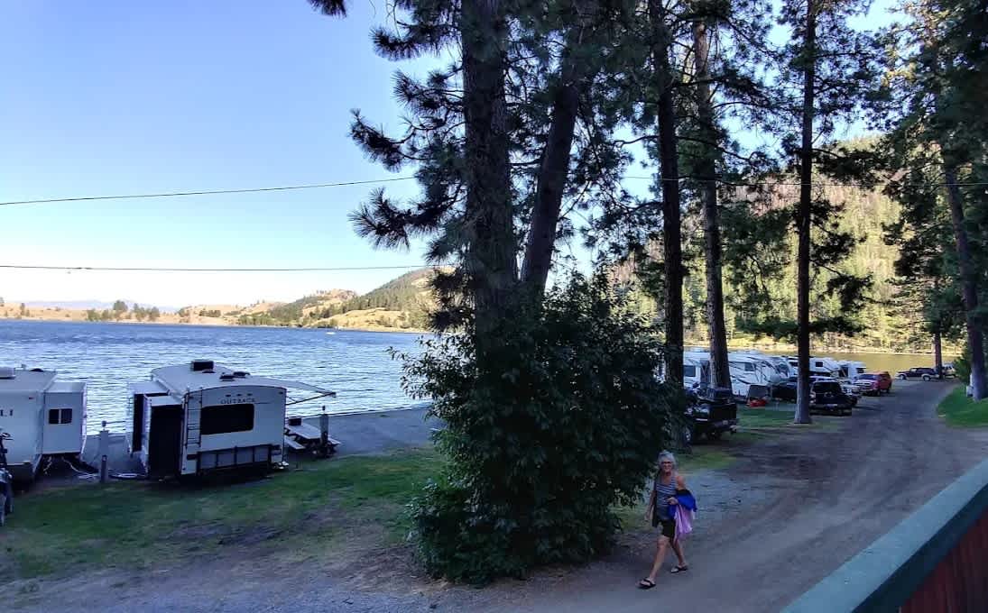 Shady Pines Resort
