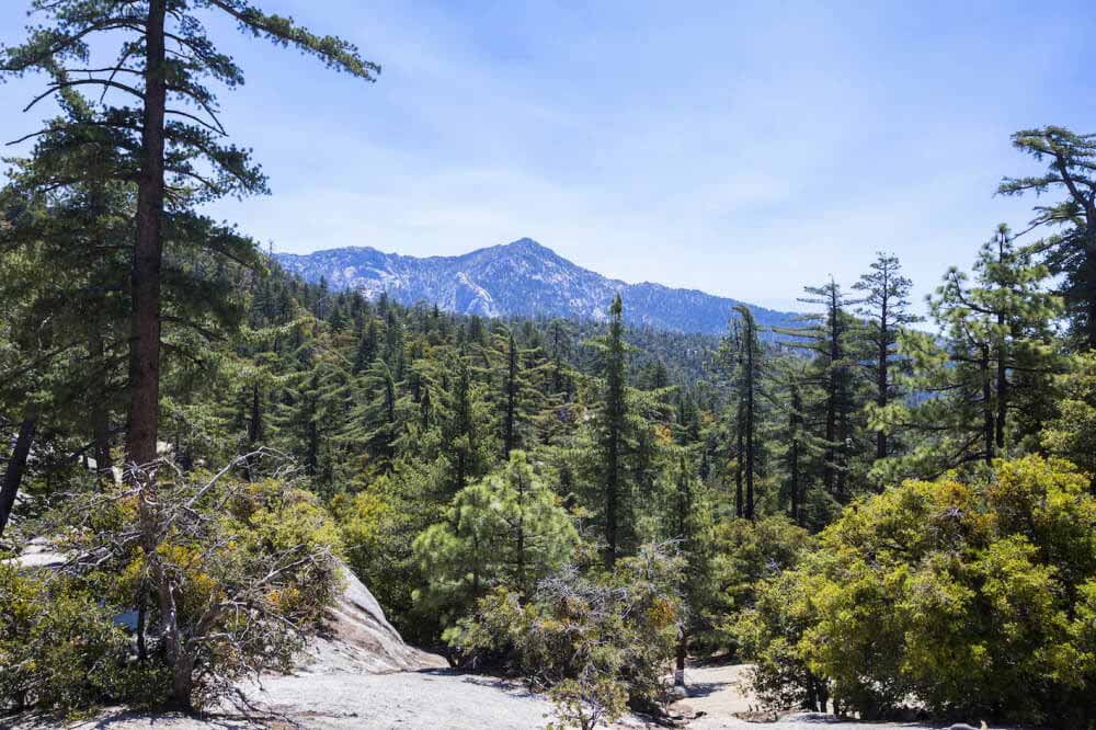 Thousand Trails Idyllwild