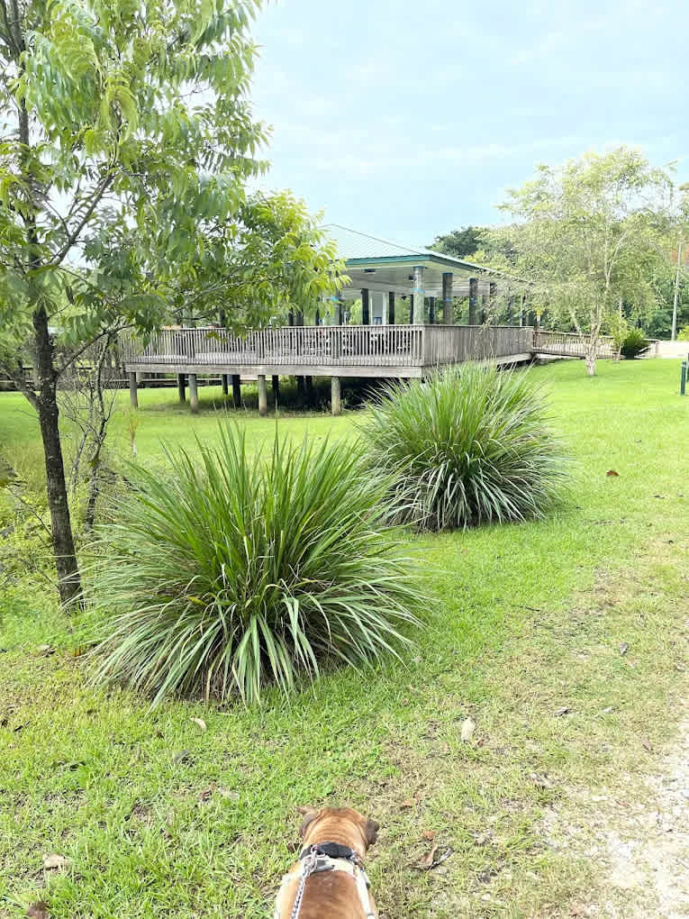 River Delta Marina and Campground