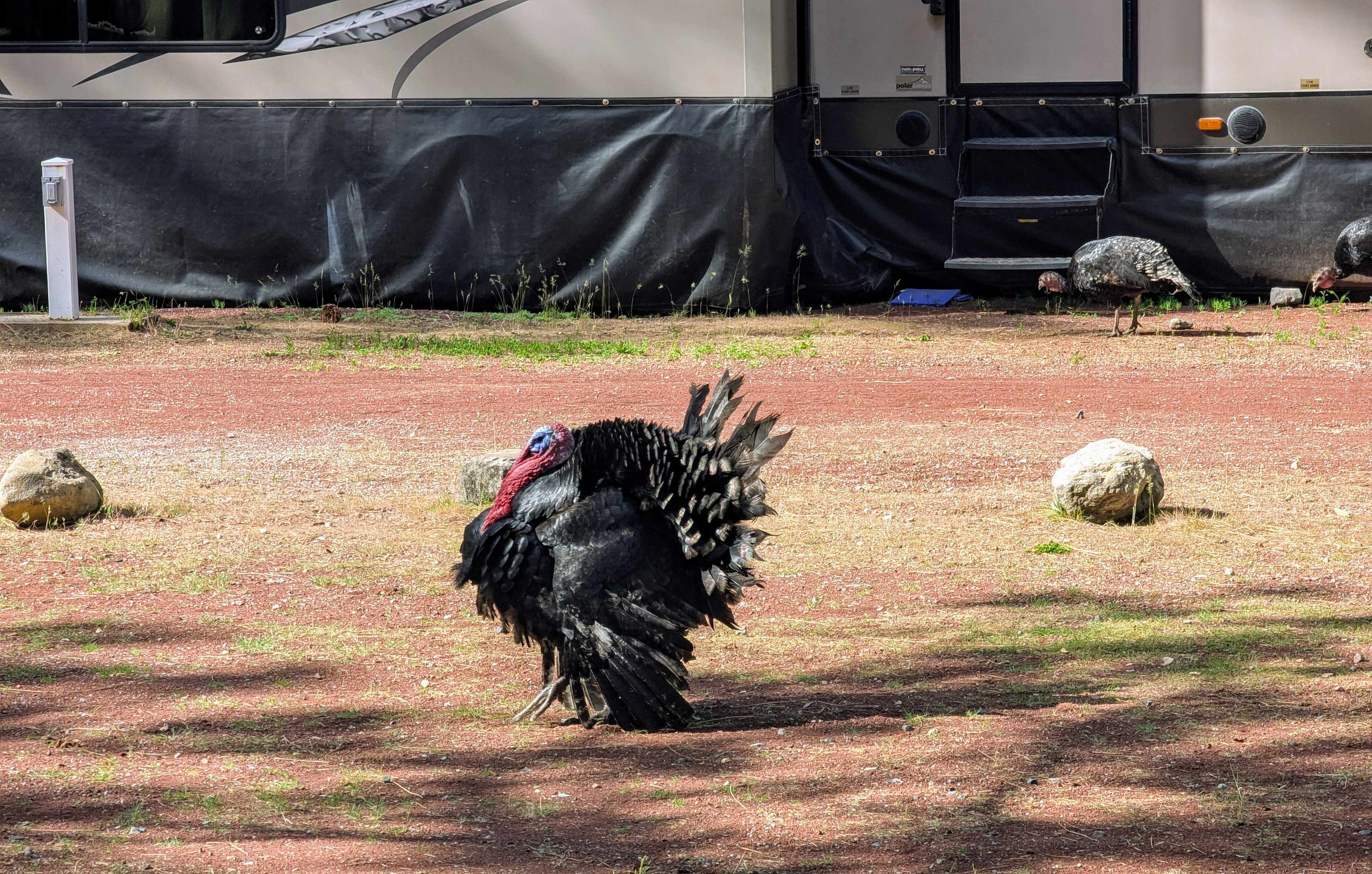 Trailer Lane Campground