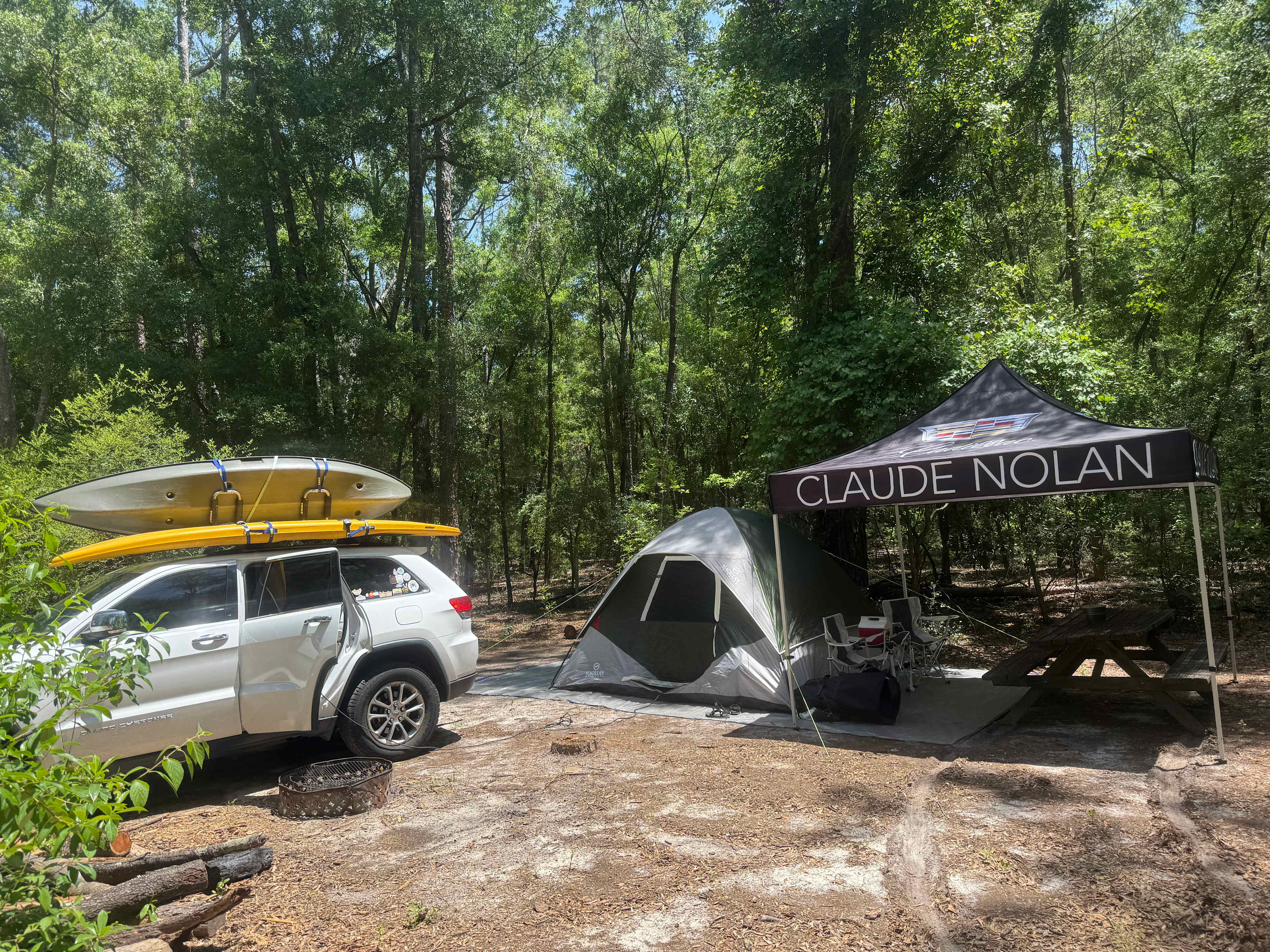 Peaceful & Private ~ Moonlit Avenue