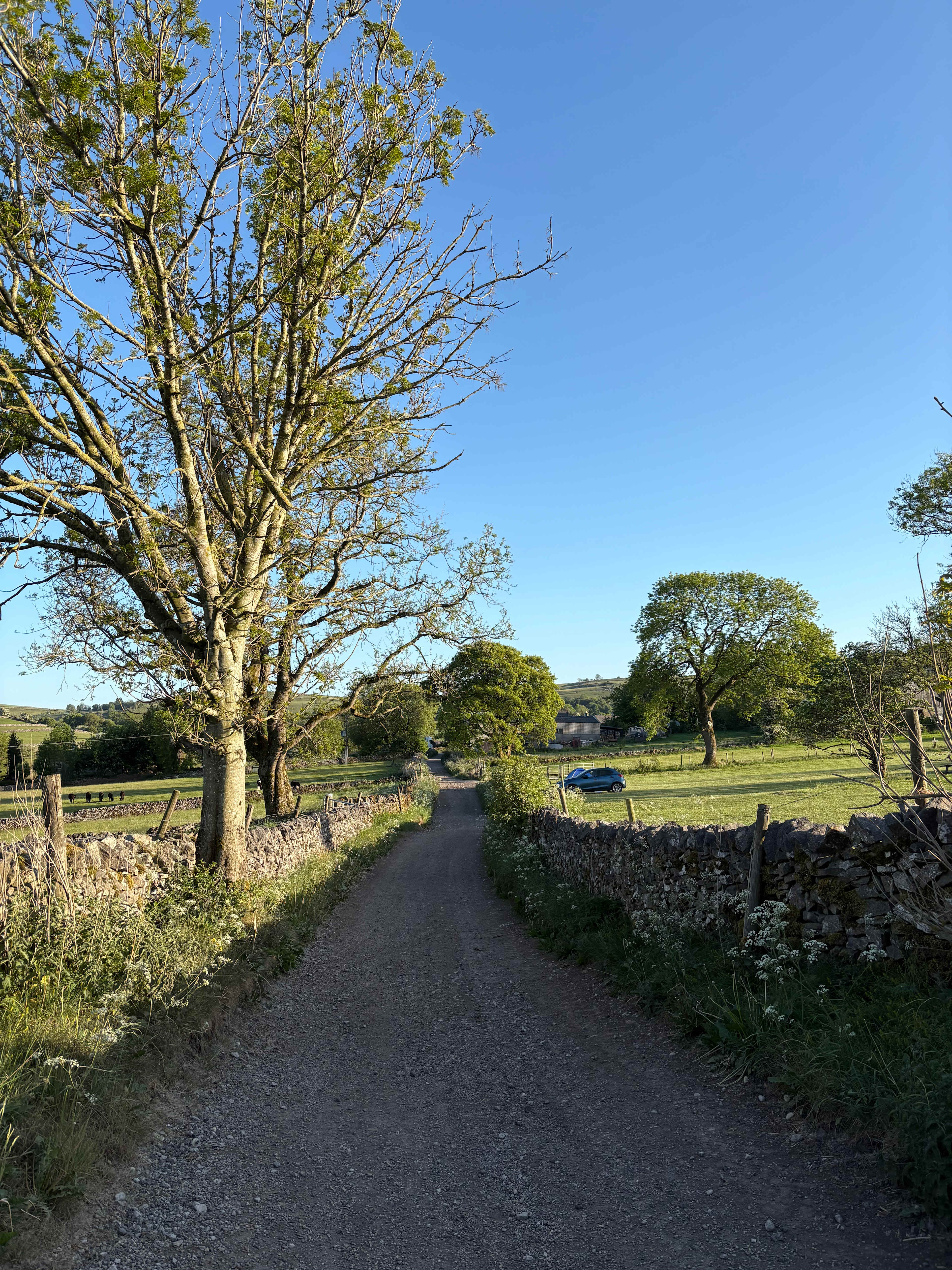 Path along site 