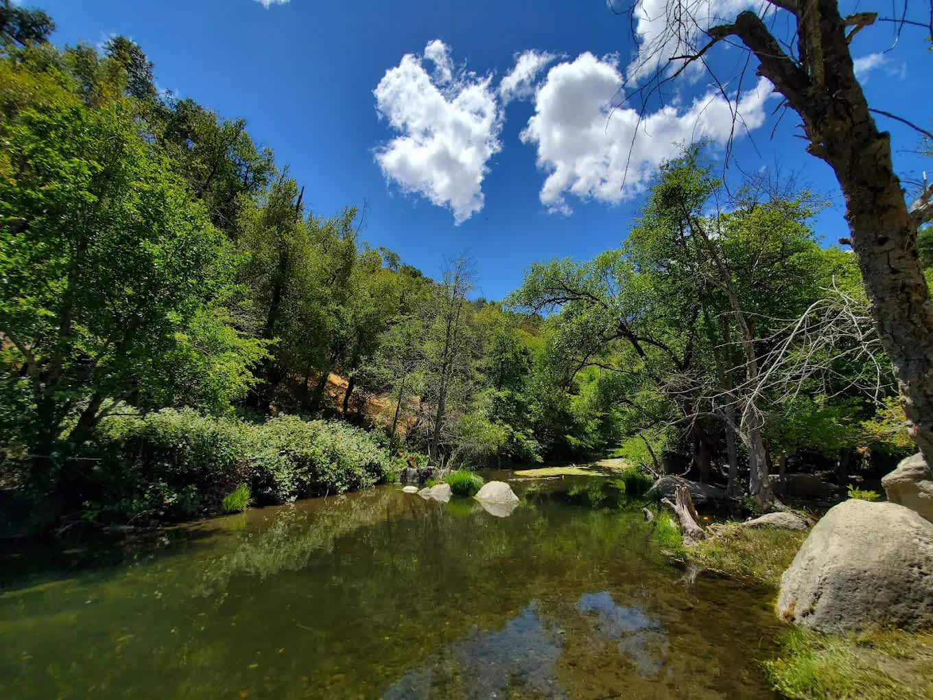 Sunol Regional Wilderness