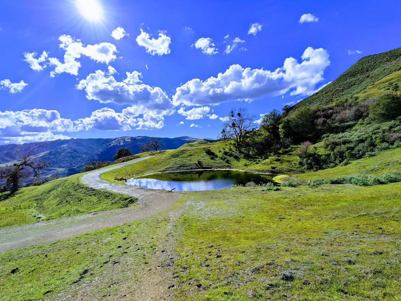 Sunol Regional Wilderness
