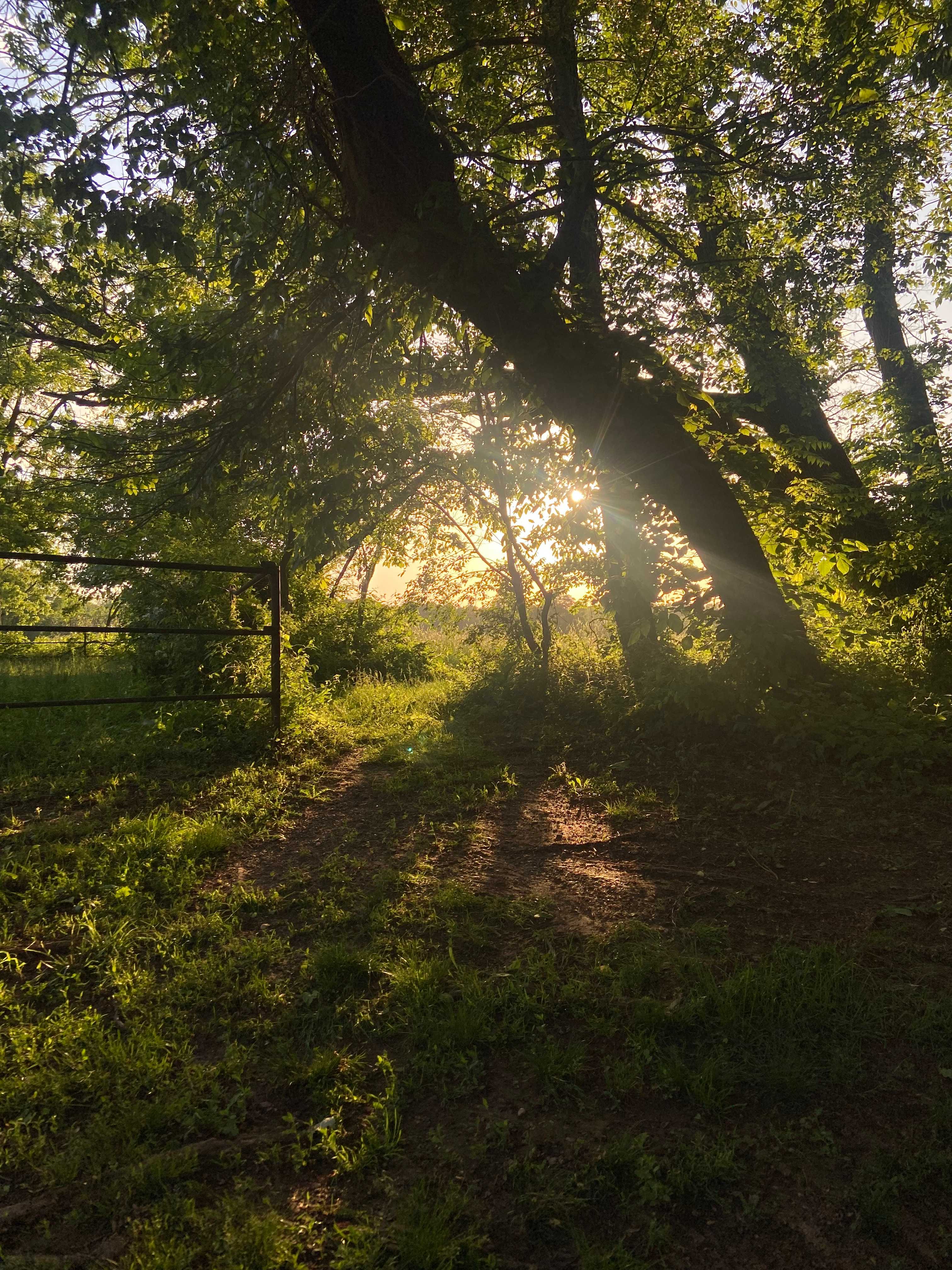 Horse Farm Camping