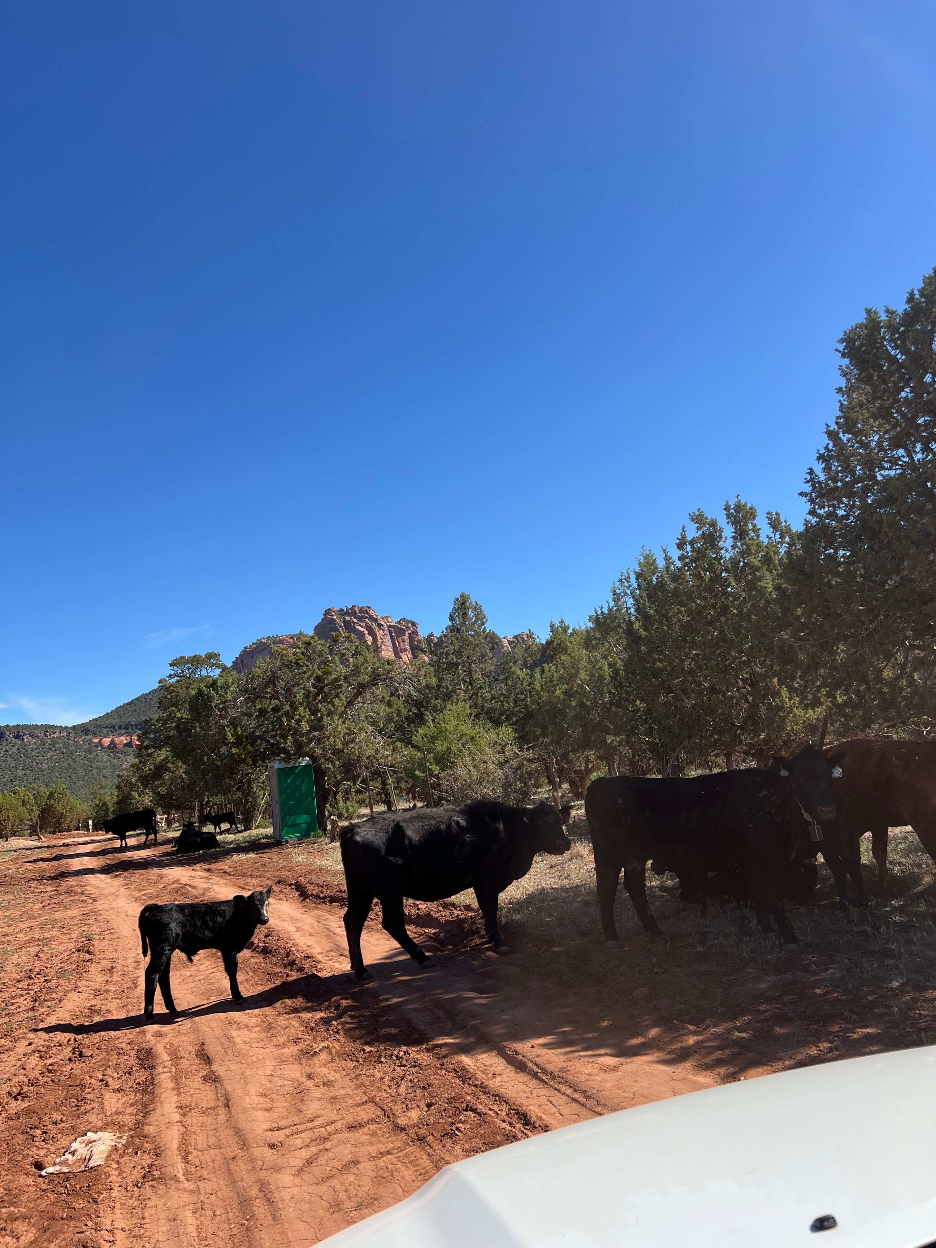 Zion Wright Ranch Eco-Camp