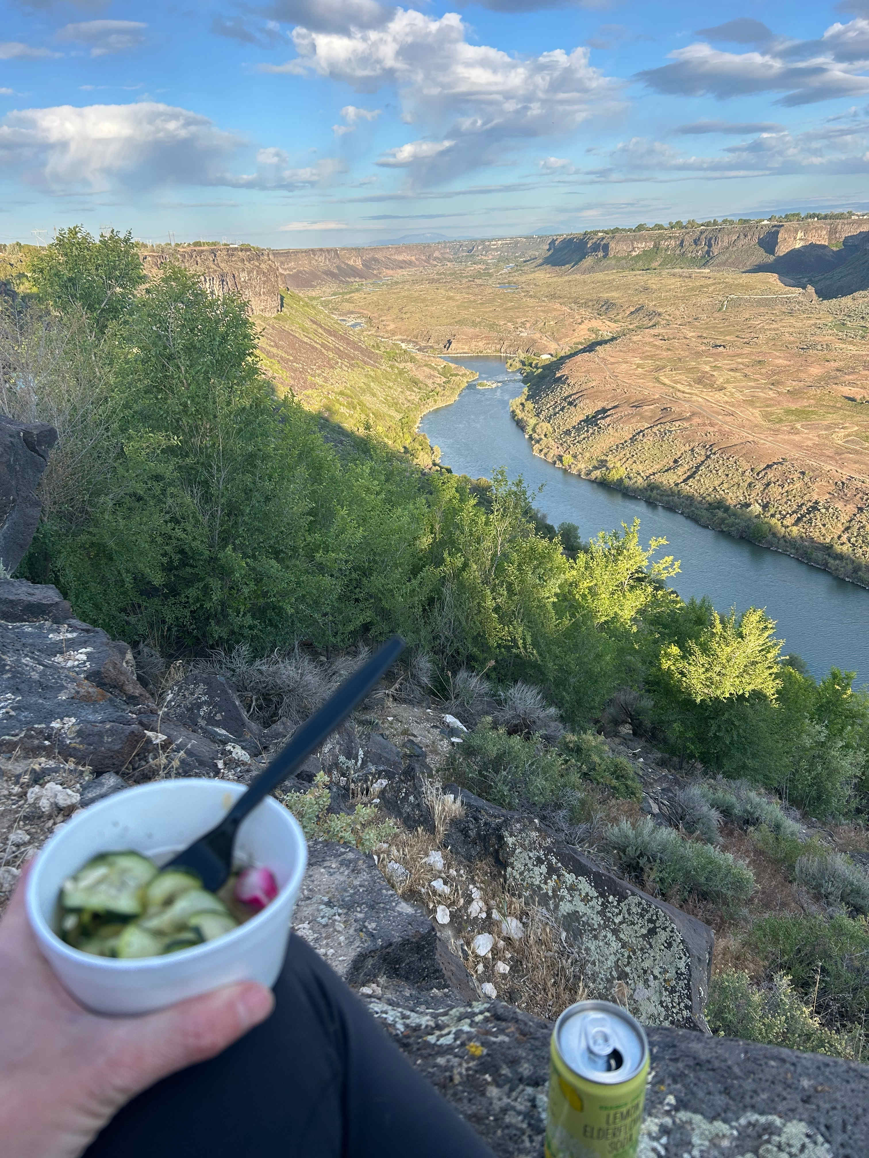 Snake River Canyon Views