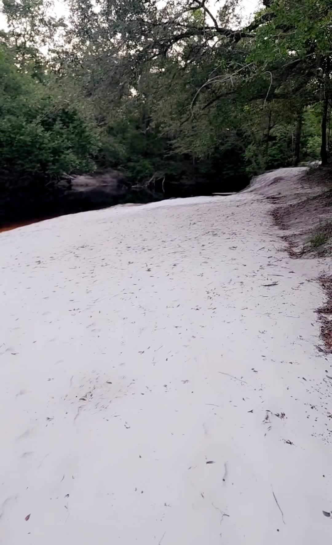 The beach area with white sand 