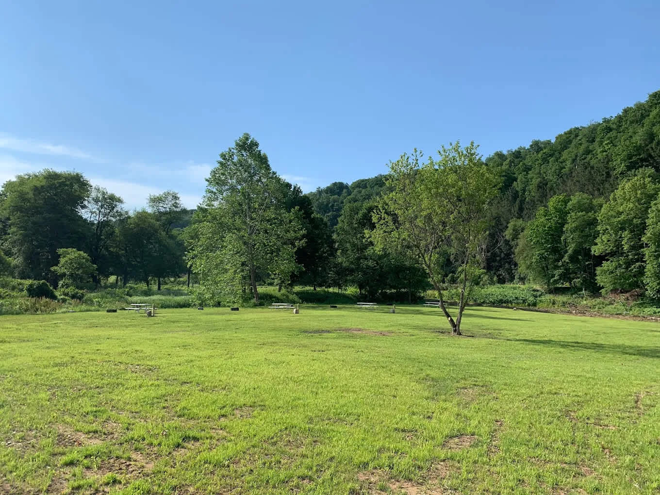 Ridgway Mills Campground