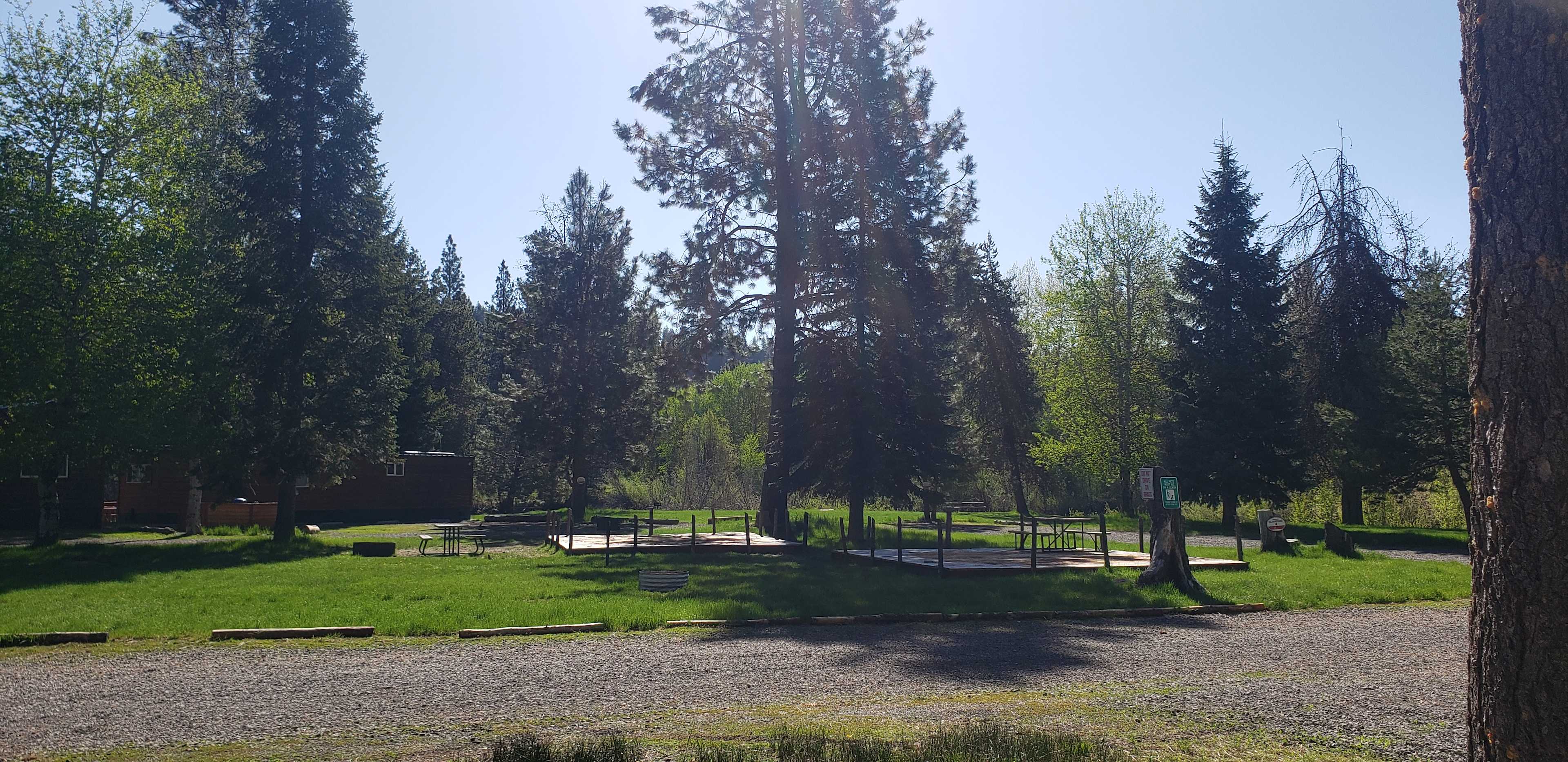 Looking out from site RV21