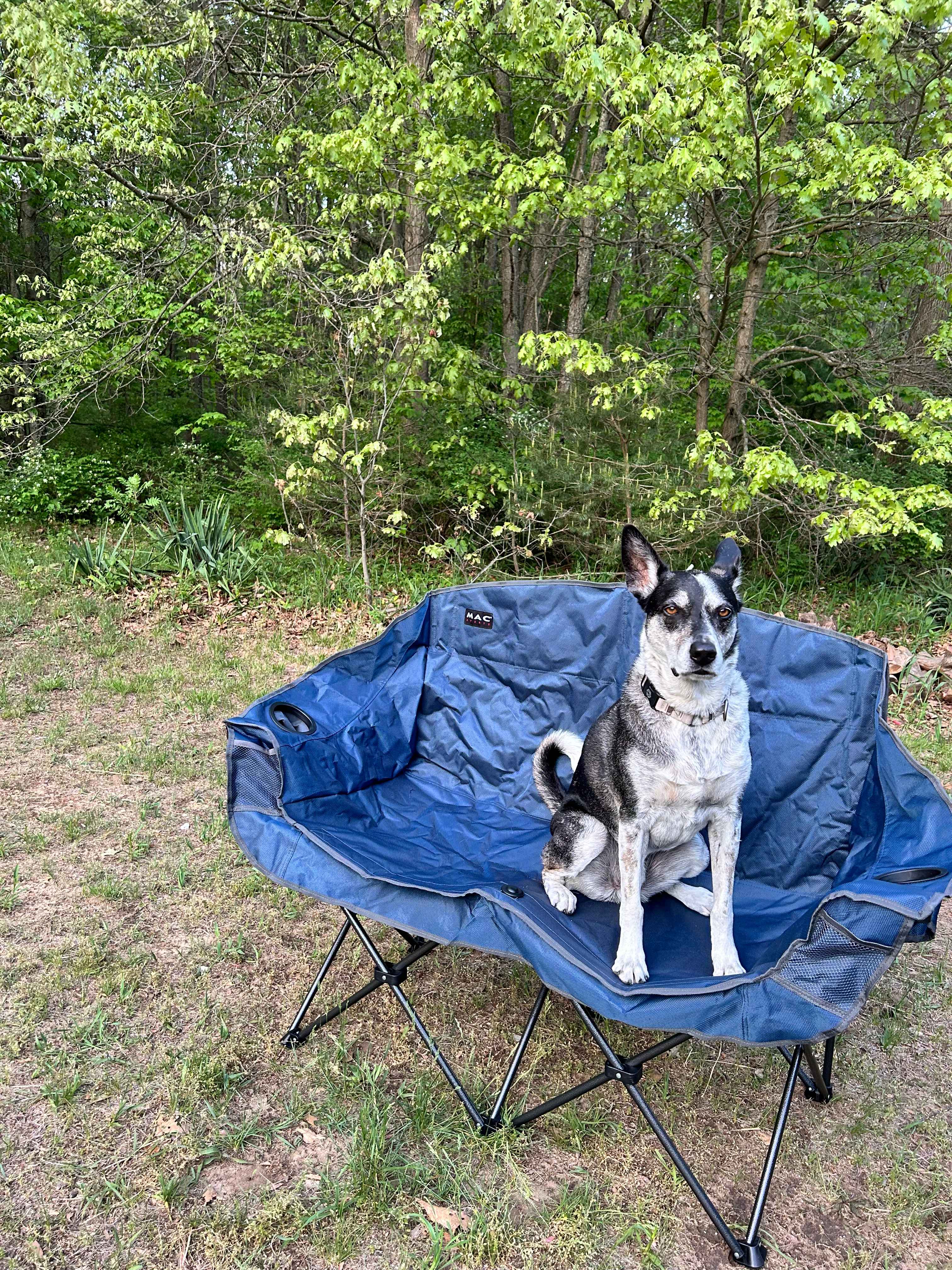 Serenity Camp