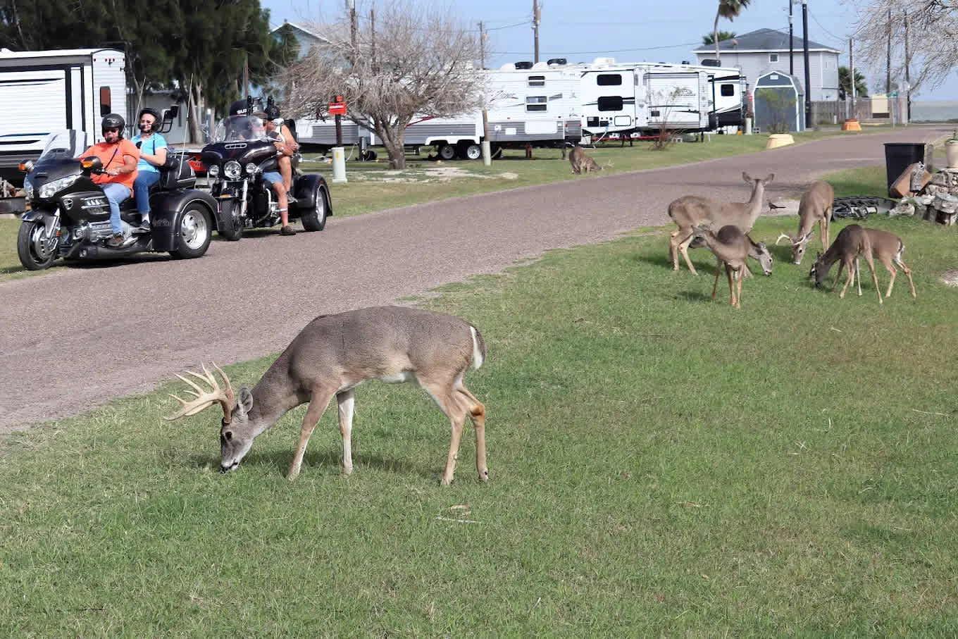 Bayview RV Park