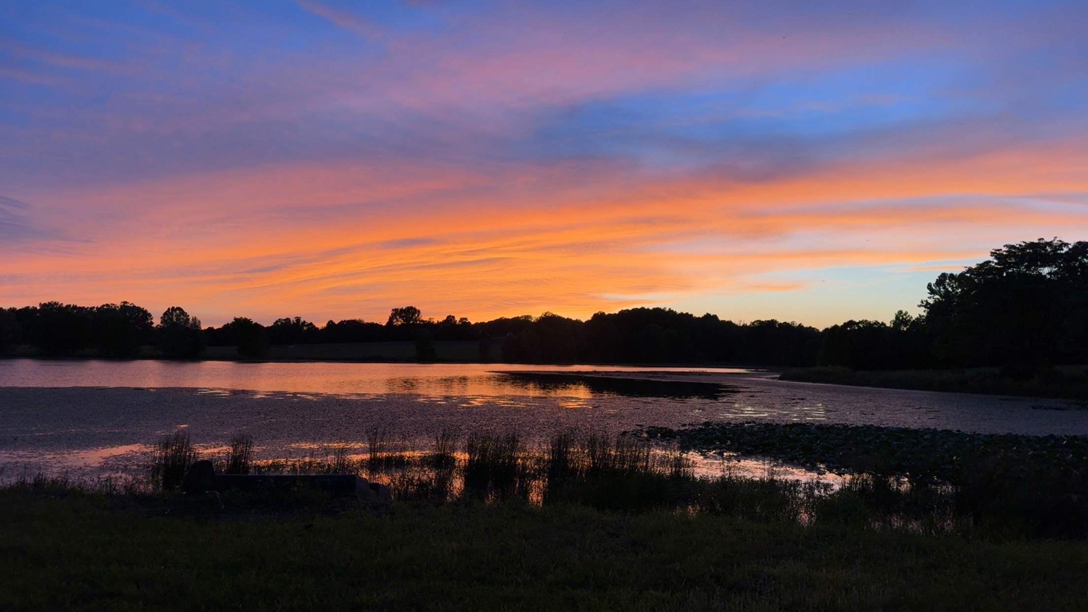 Tall Tree Lake