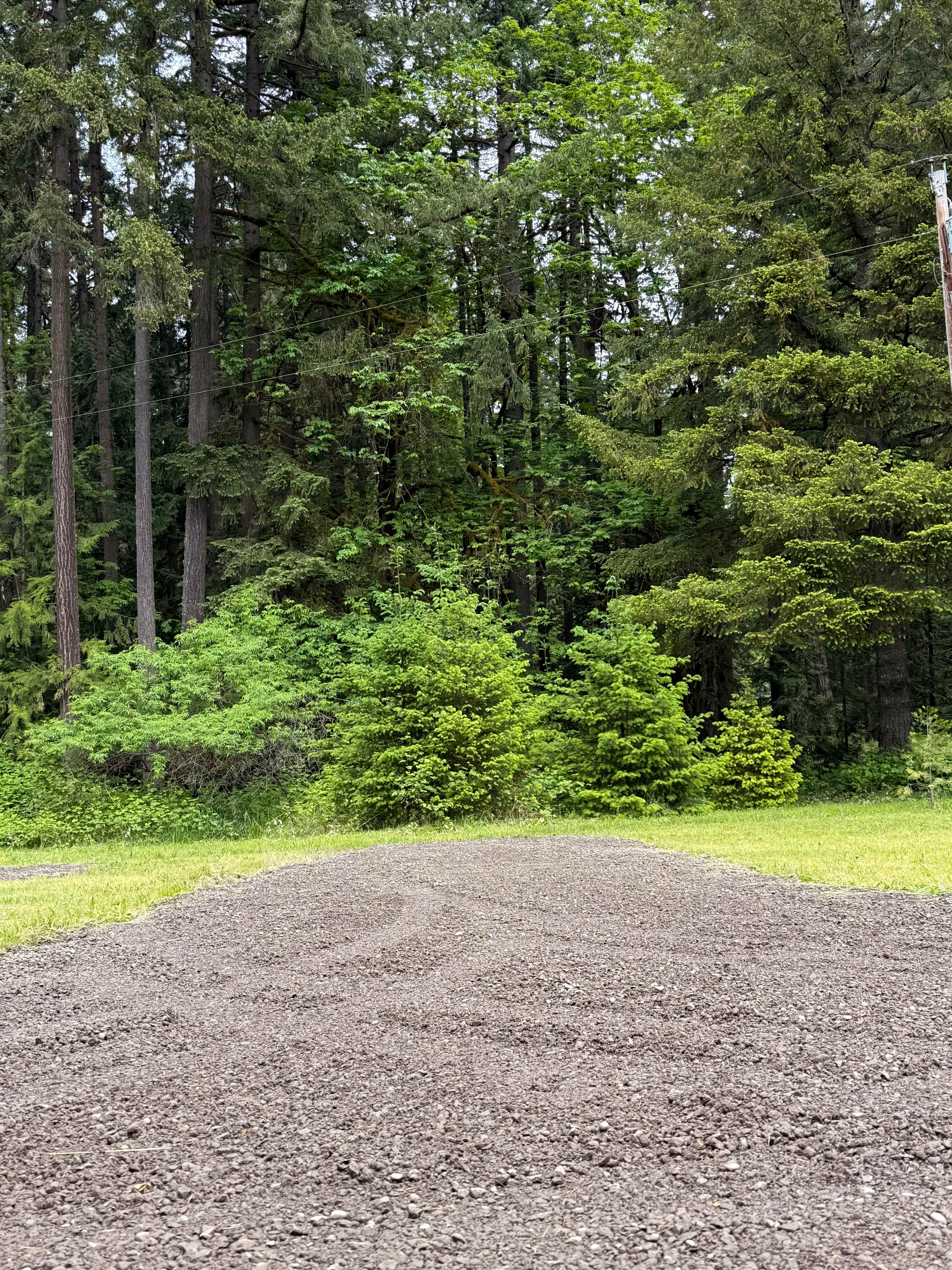 Westfir Hideaway