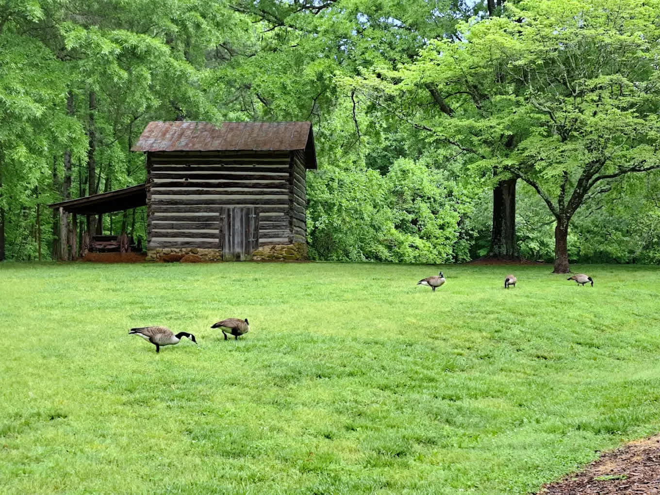 Hagan-Stone Park