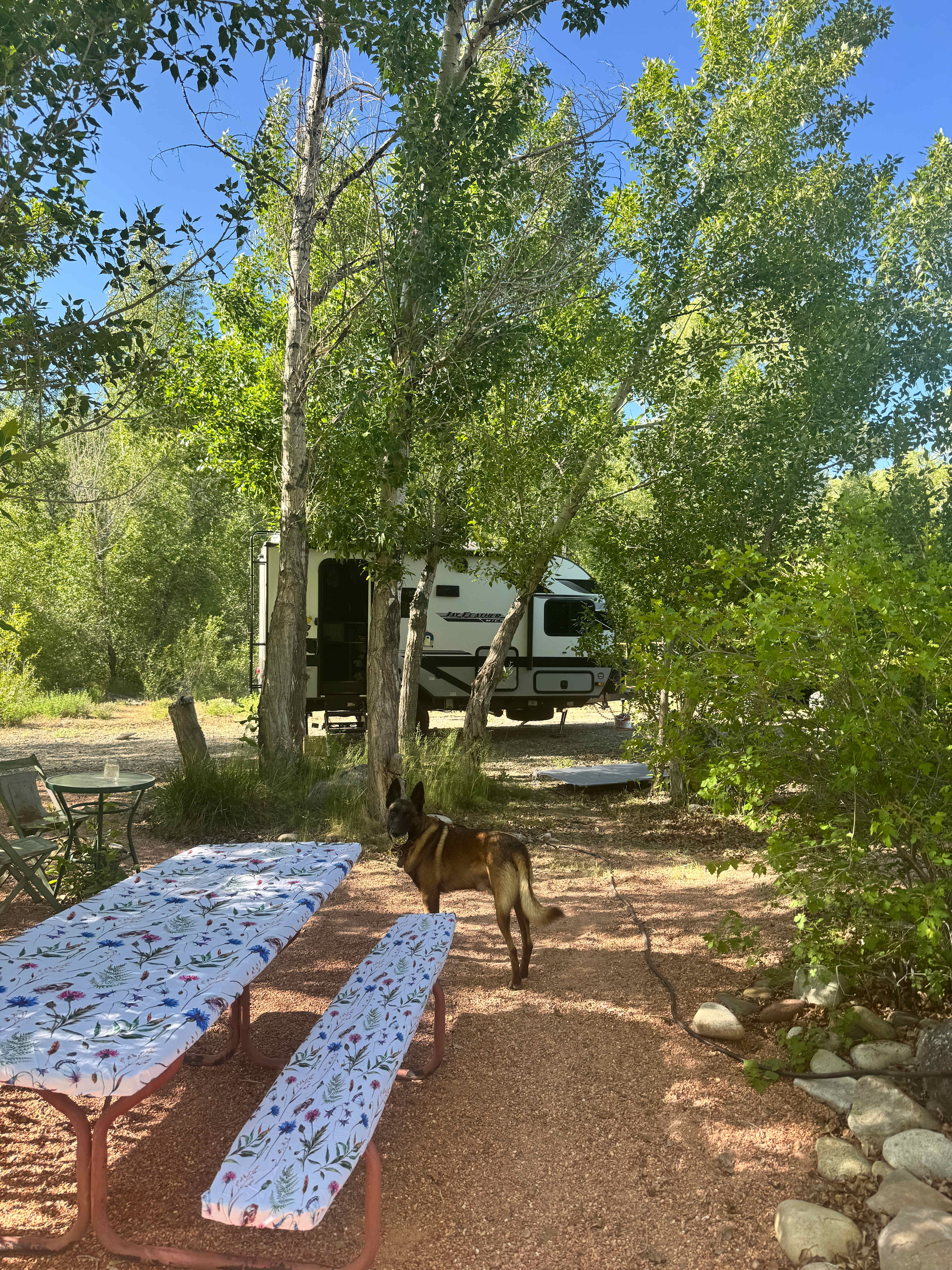Riverwalk Yurt, luxury on river