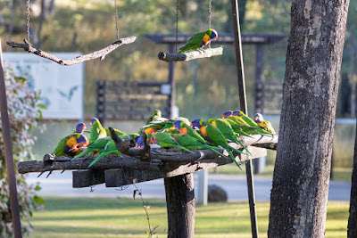 Cania Gorge Tourist Retreat