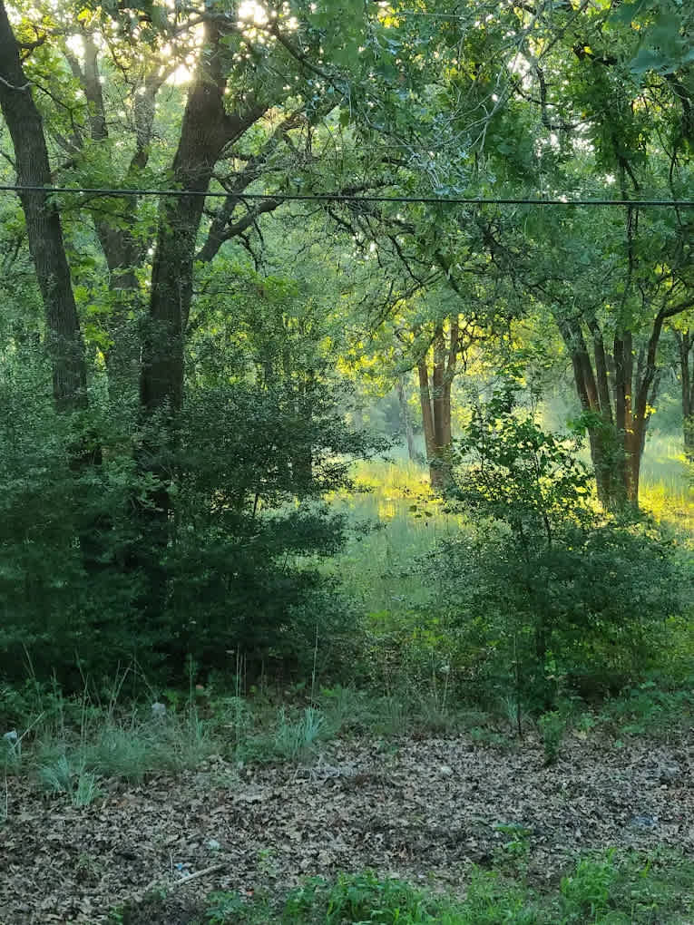 Shady Grove RV Park