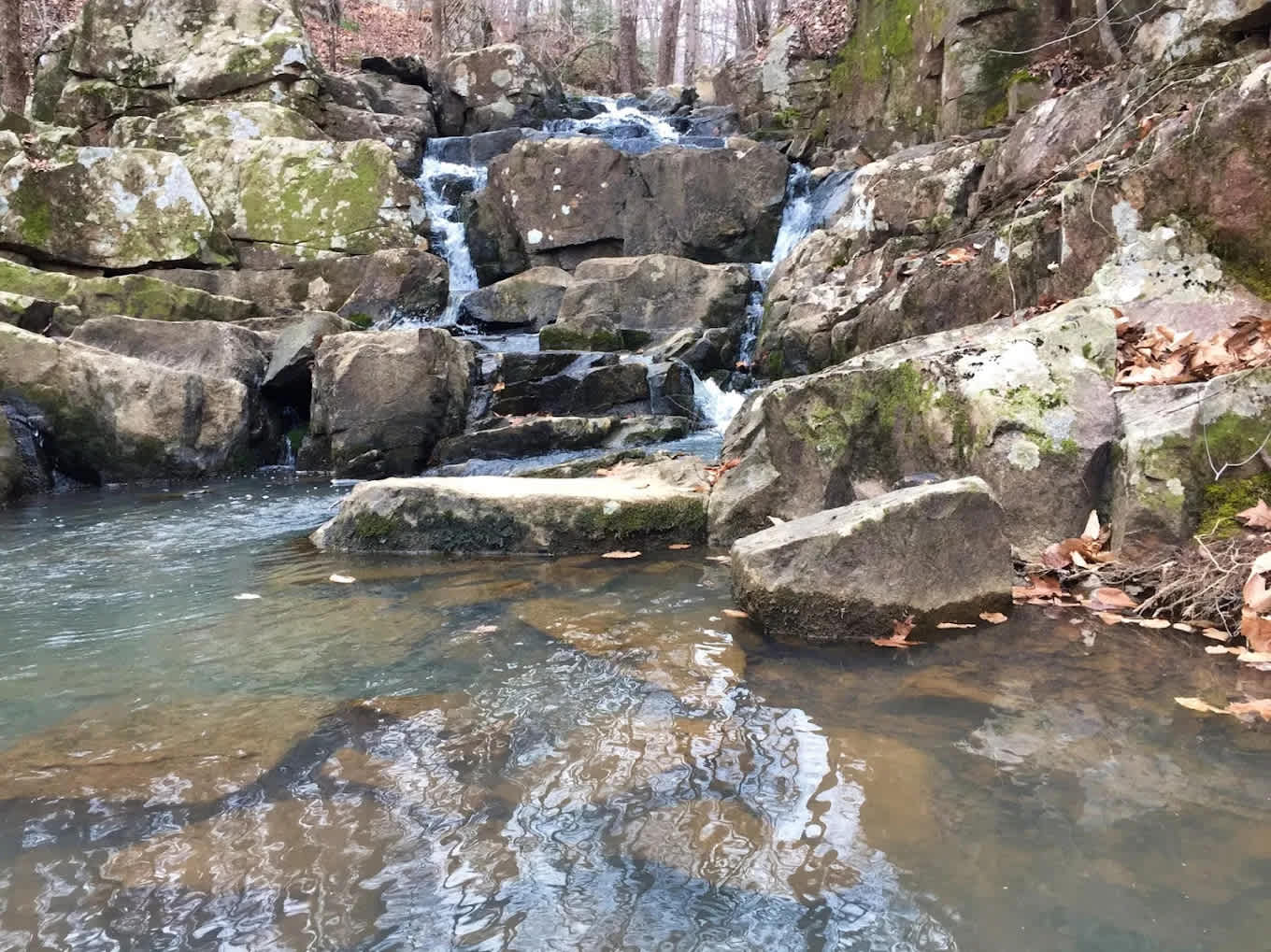 Spruce Pine Campground