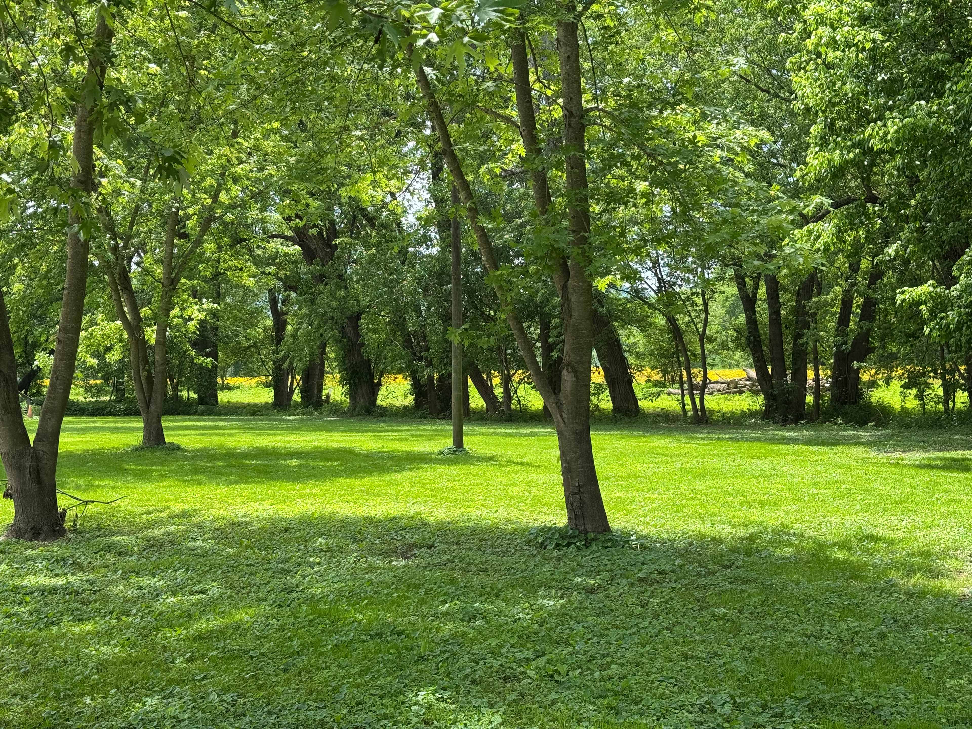 Brush Creek Campground, LLC