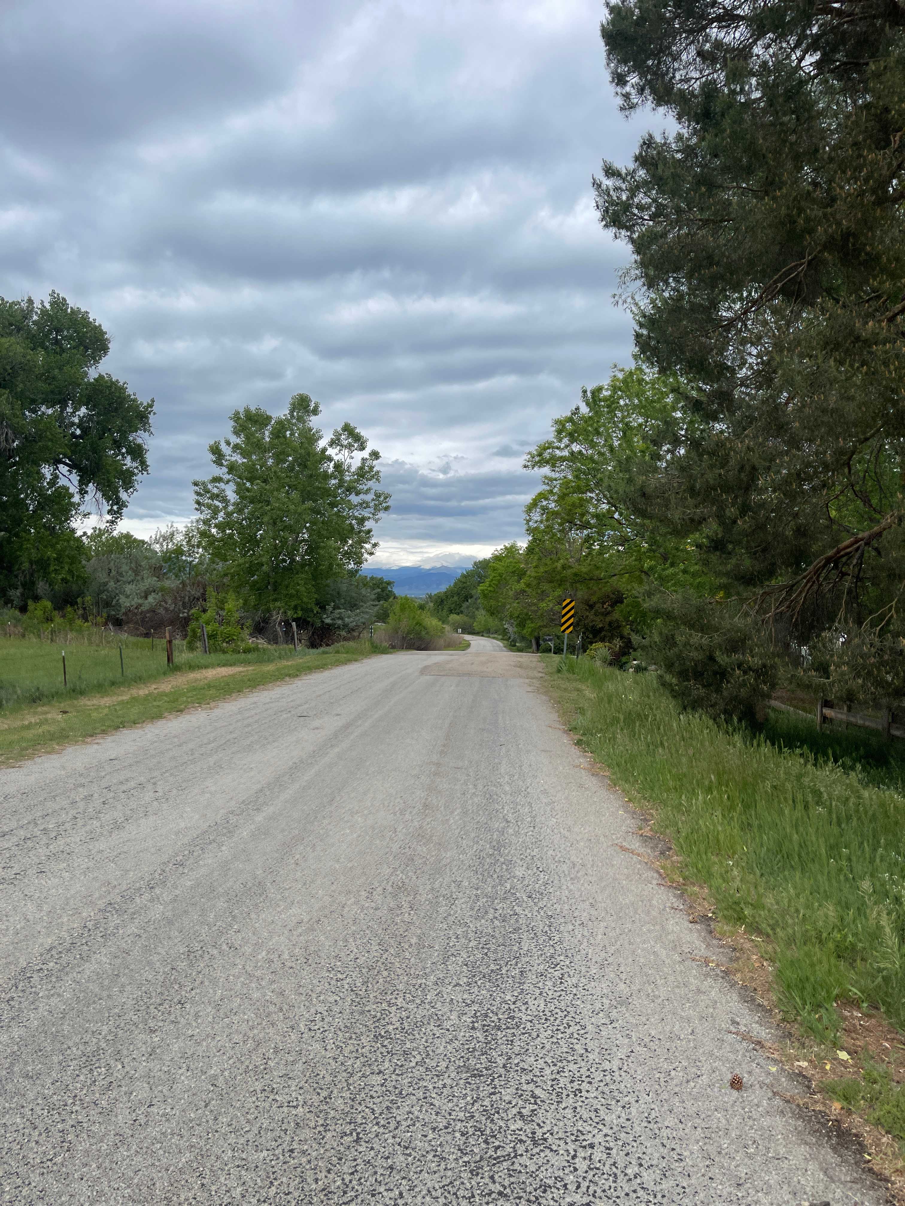 Walking in the neighborhood. 