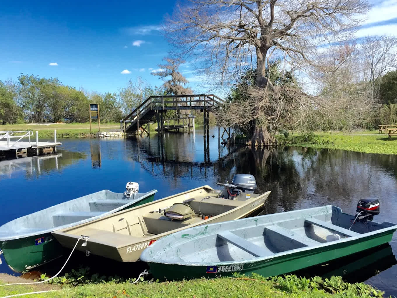 Middleton's Fish Camp