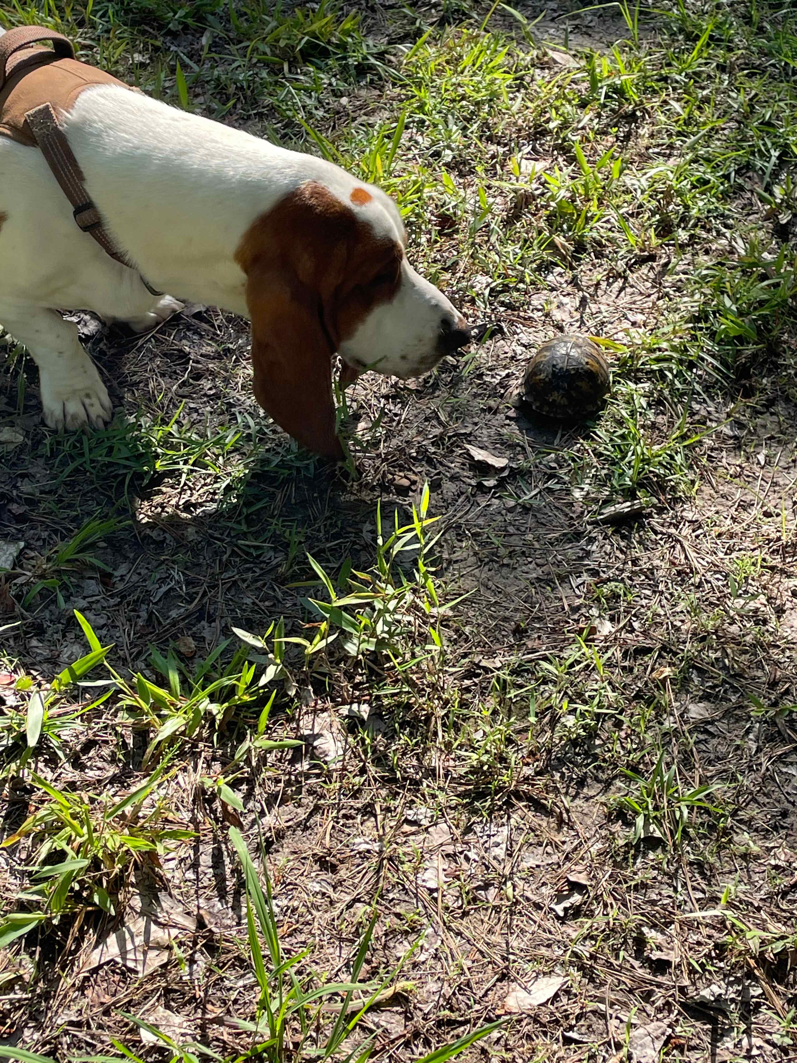 Argo’s Park & Trails