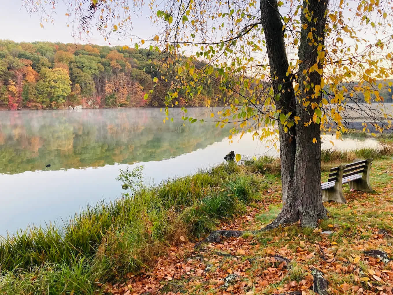 Winding Hills Park