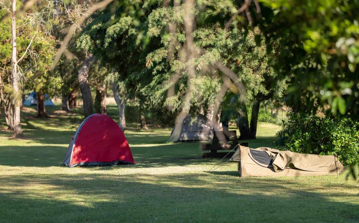 Pine Country Caravan Park