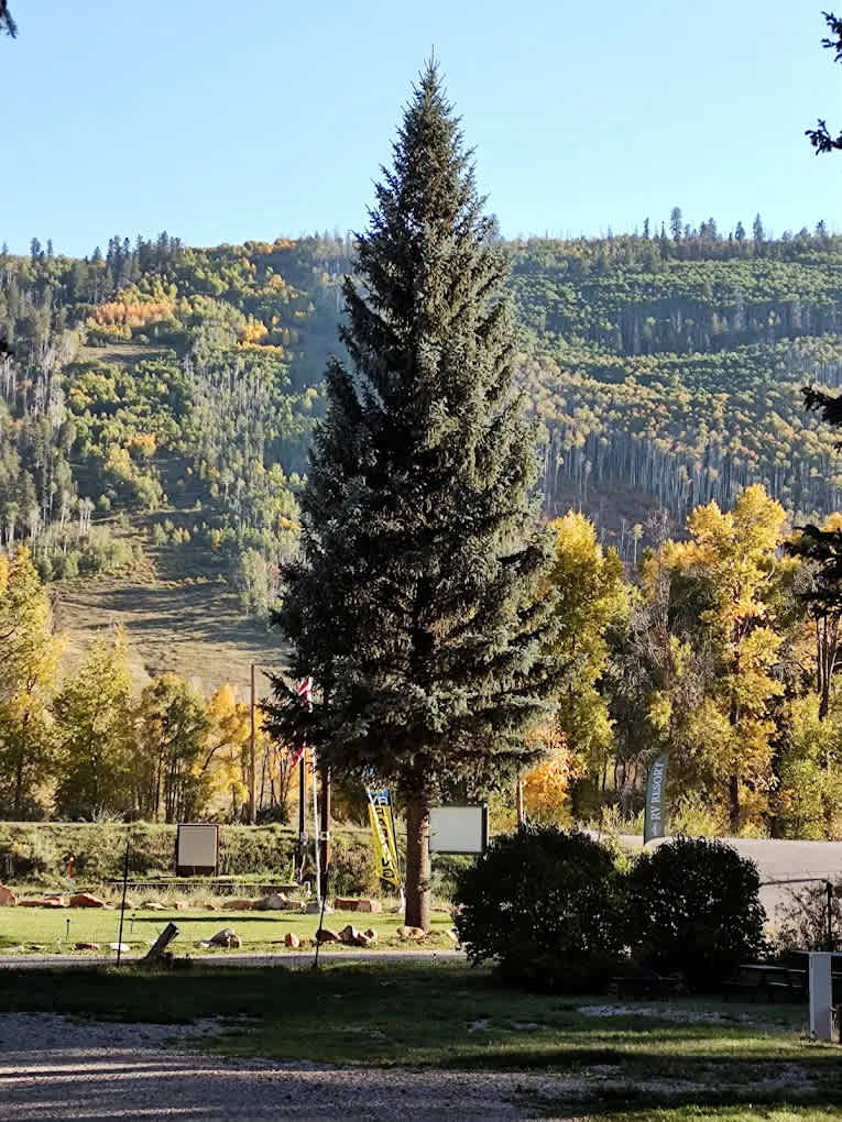 Stoner RV Resort